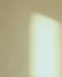A curation of songs #2