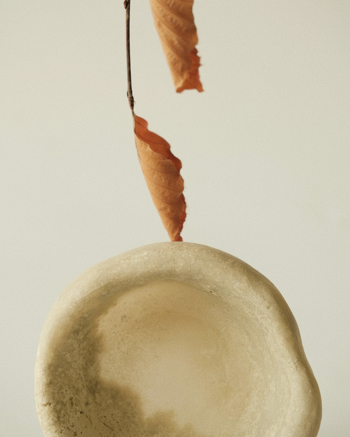 The Cora Bowl
