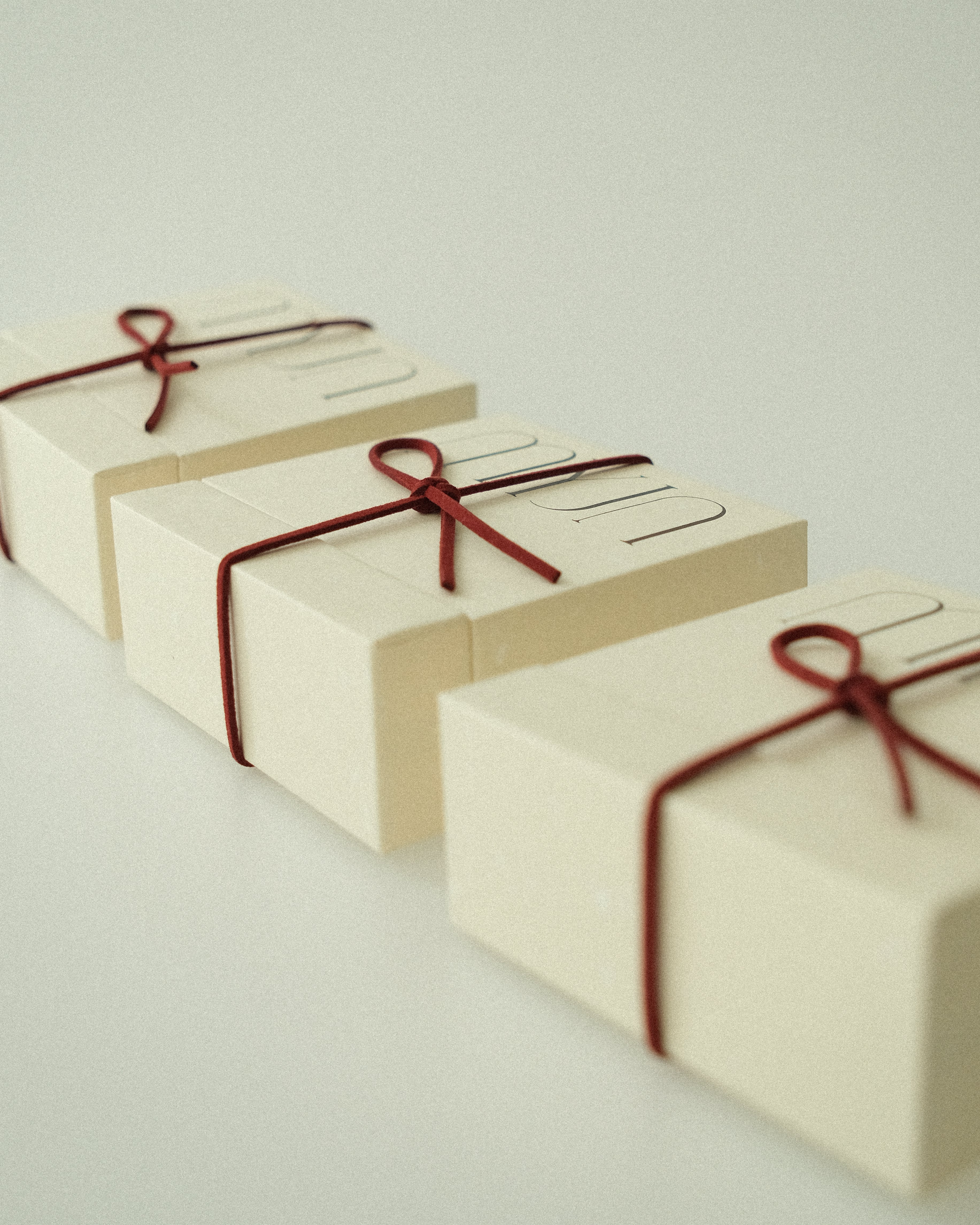 'The Archive' Gifting Box ( Special Edition )