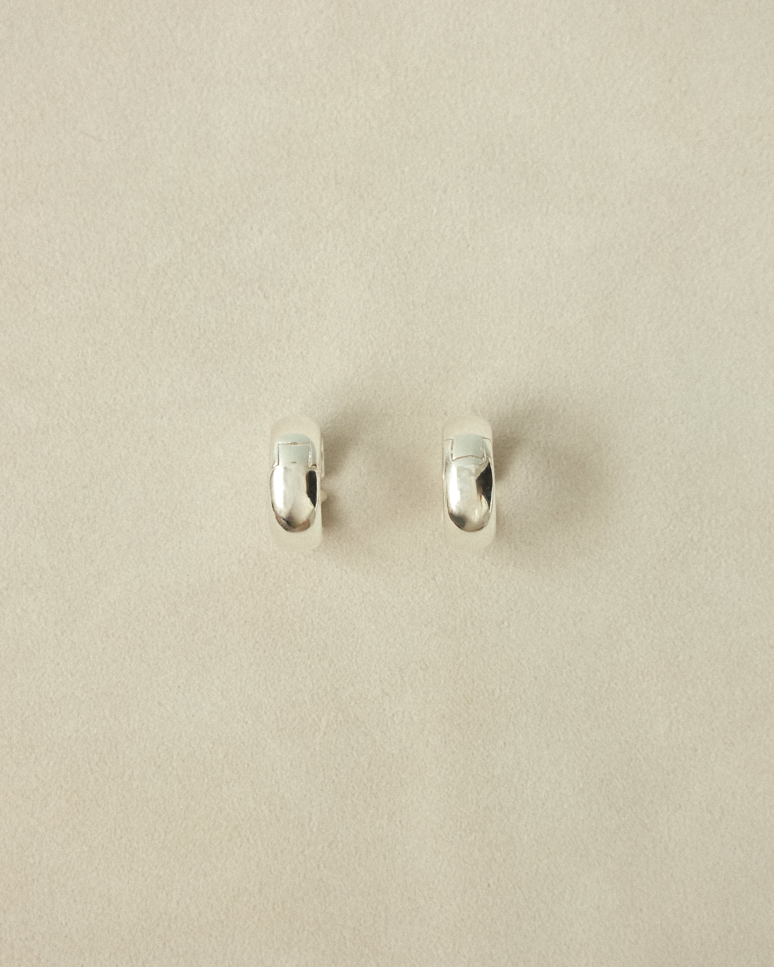 Bold Roque Classic Hoop Earrings