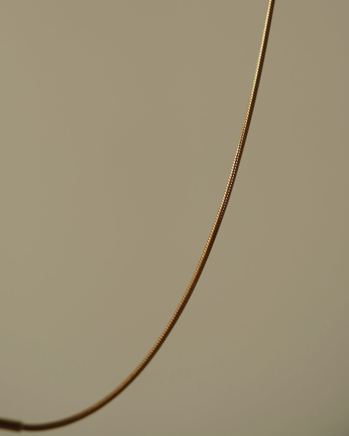 Aila Snake Chain Bracelet