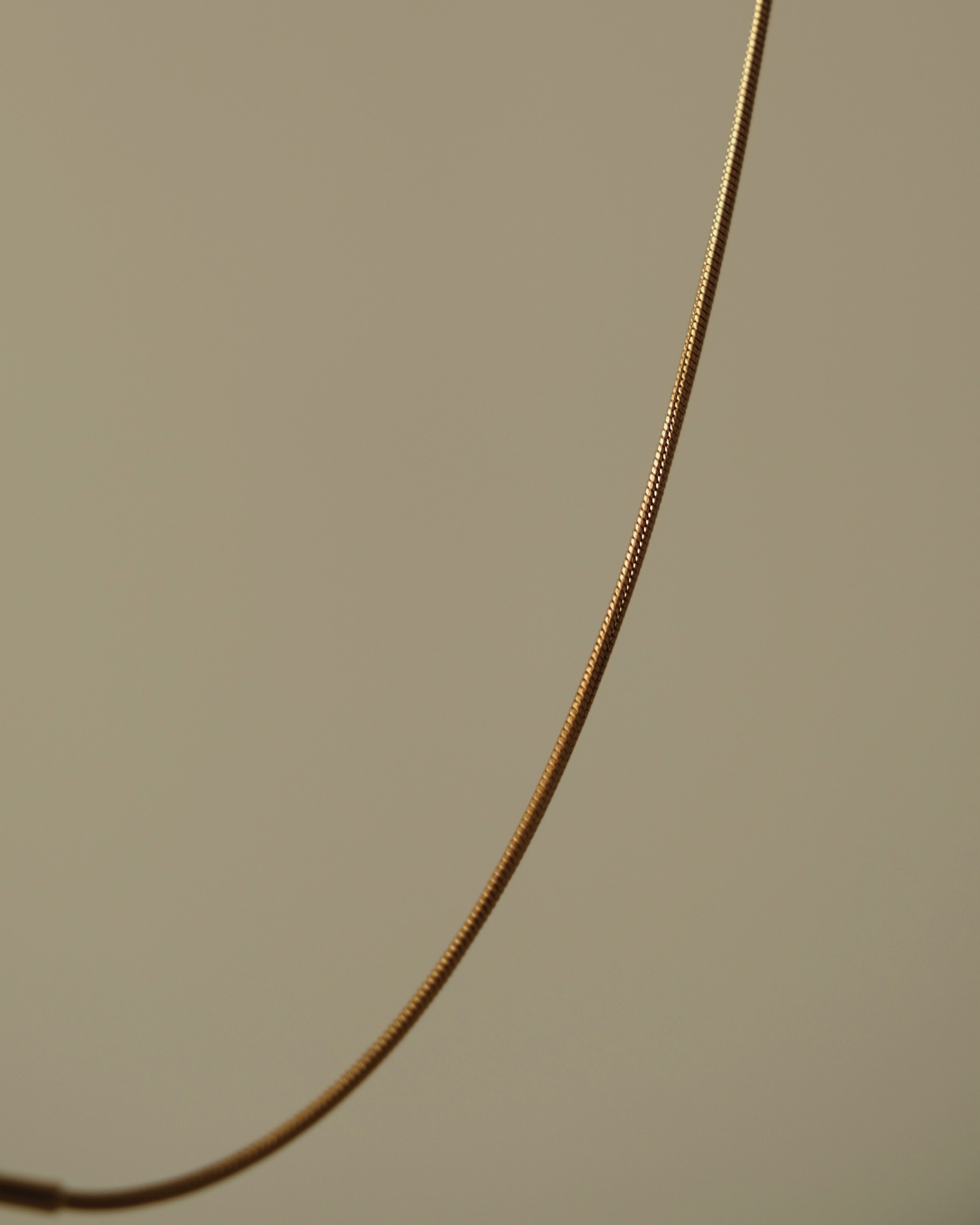 Aila Snake Chain Bracelet