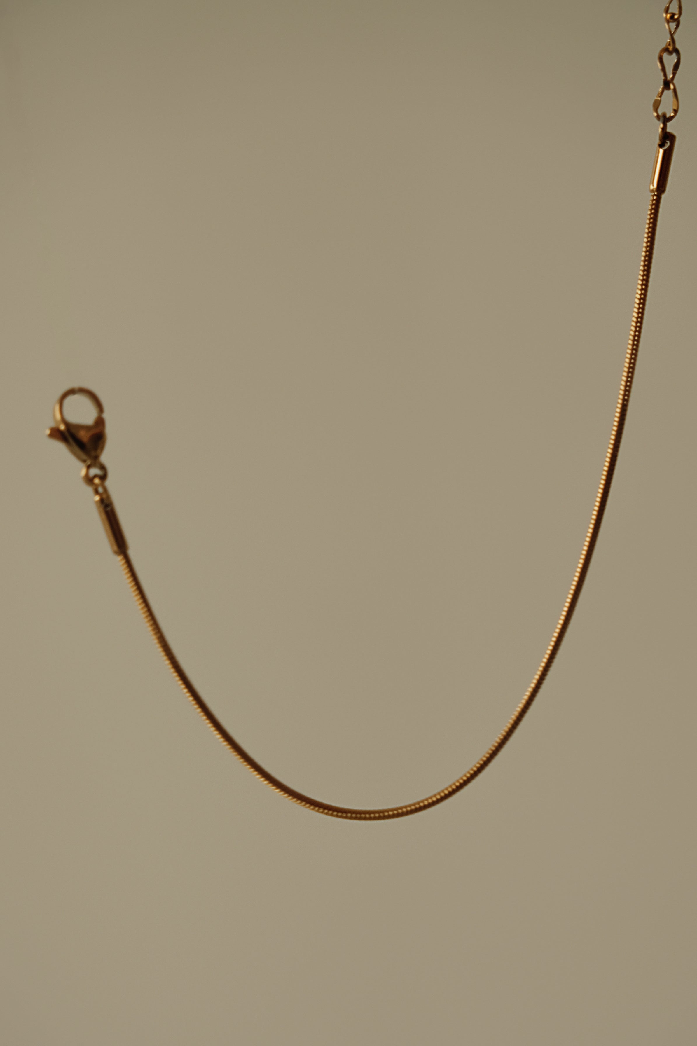 Aila Snake Chain Bracelet