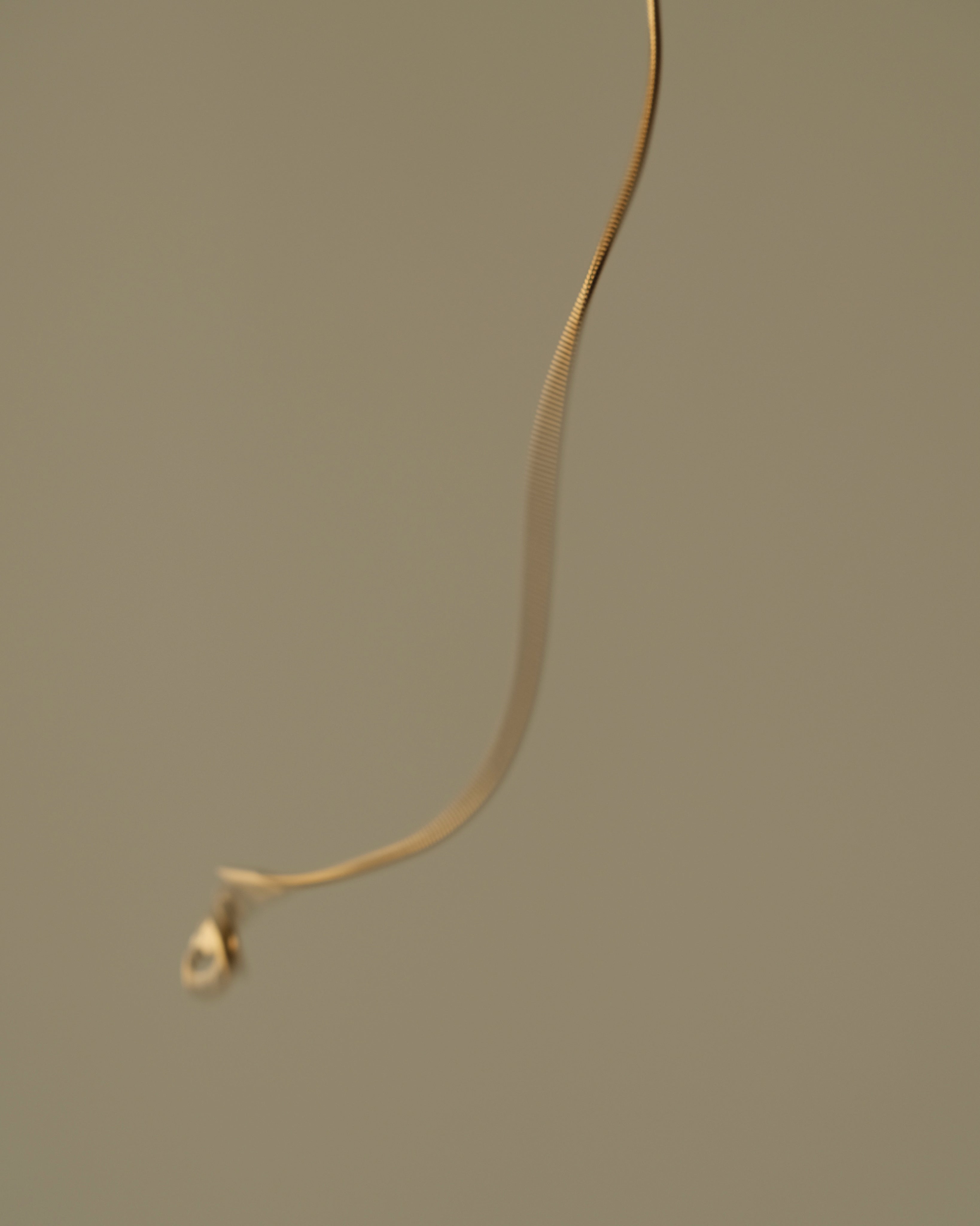Aila Snake Chain Bracelet