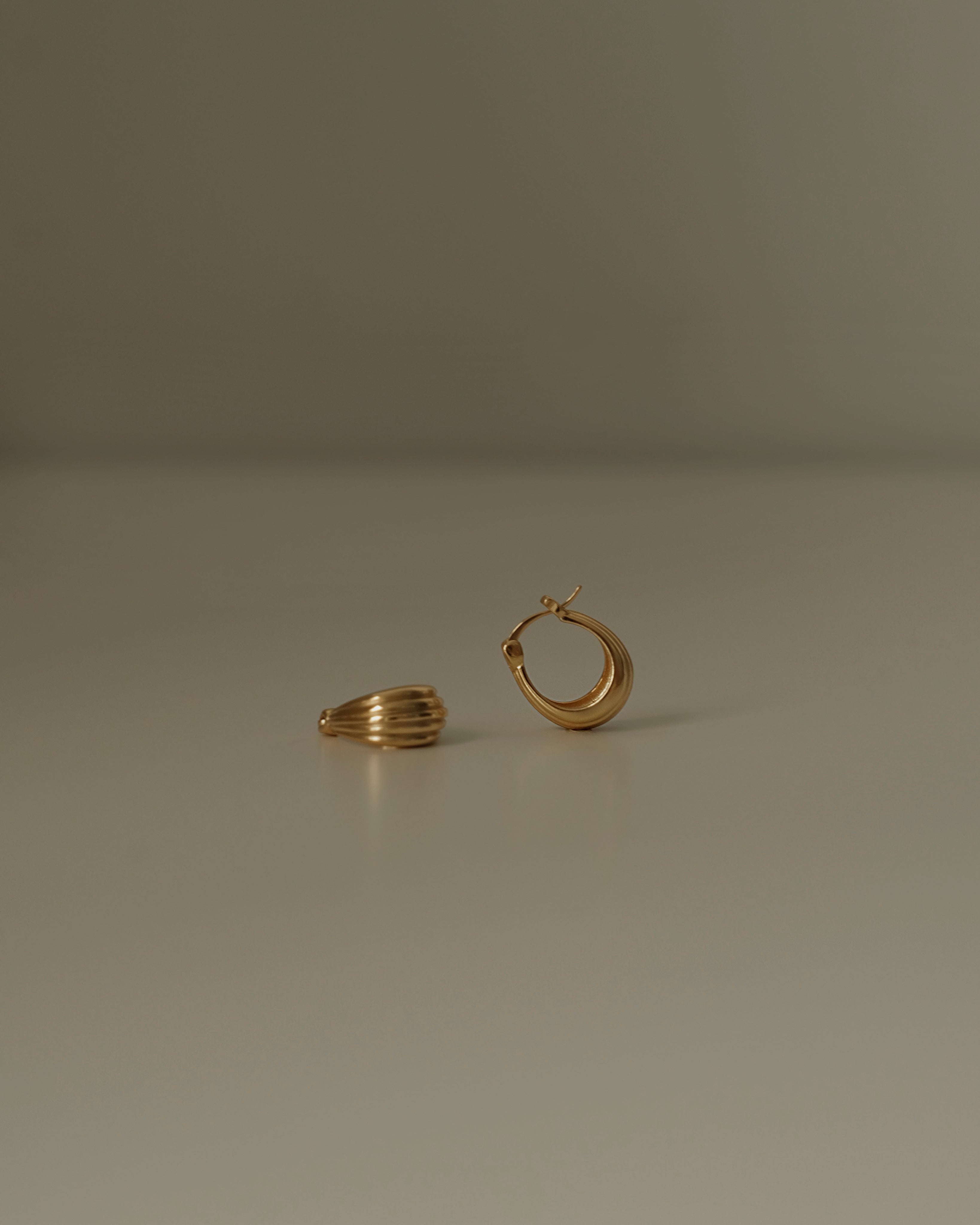 Sasha Ribbed Puffed Hoop Earrings