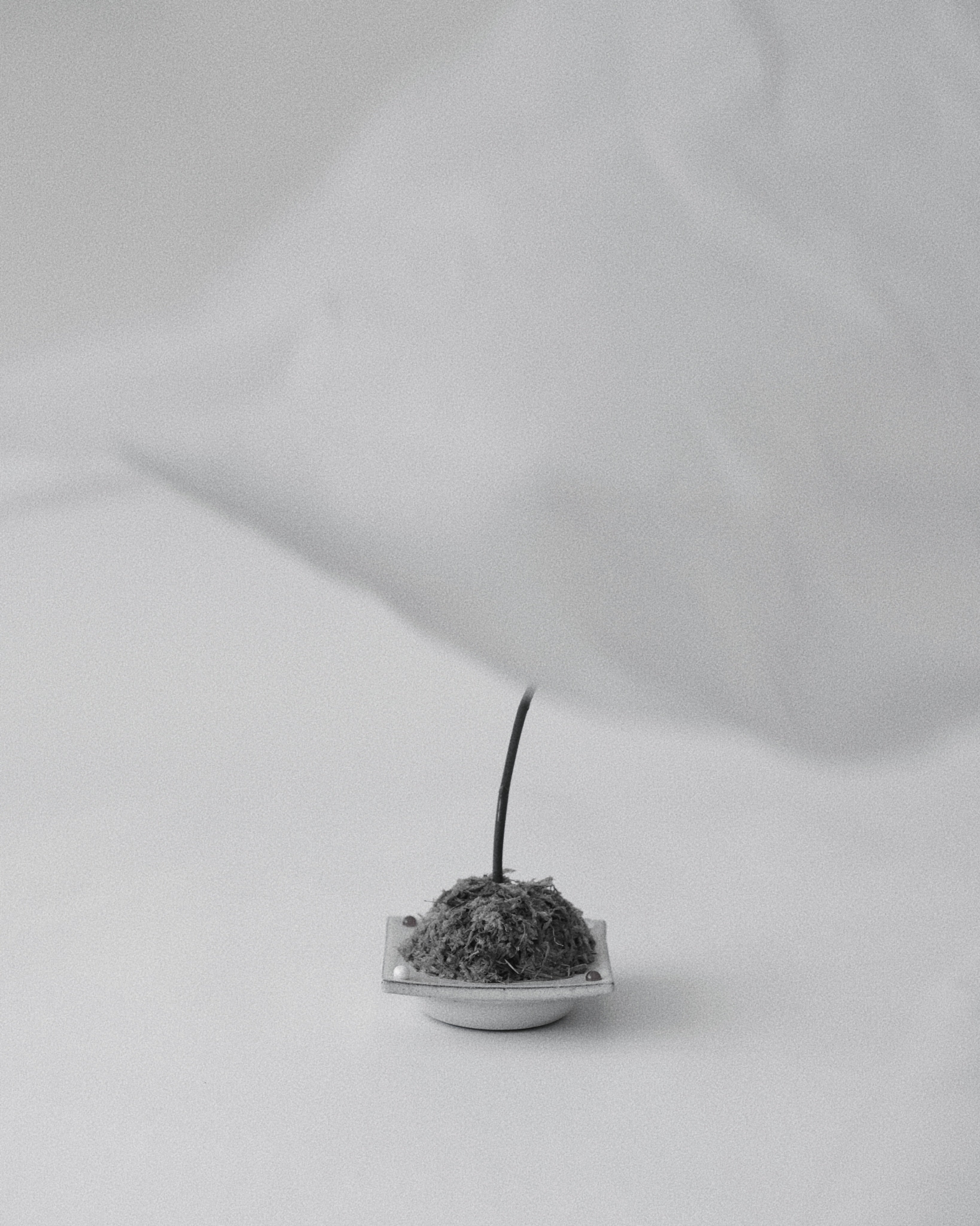002 Kamenozoki Miniature Tray