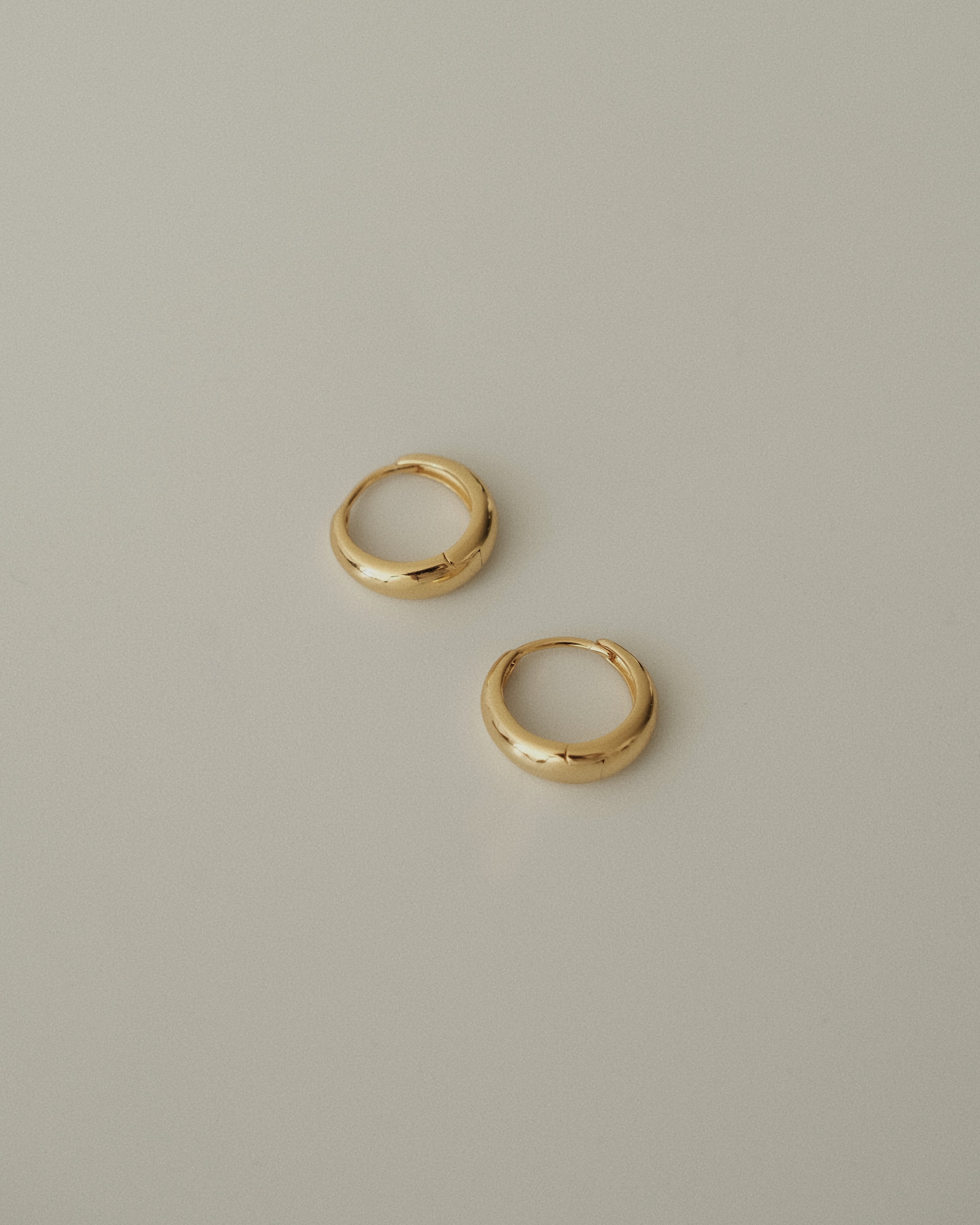 Lacie Dome Hoop Earrings