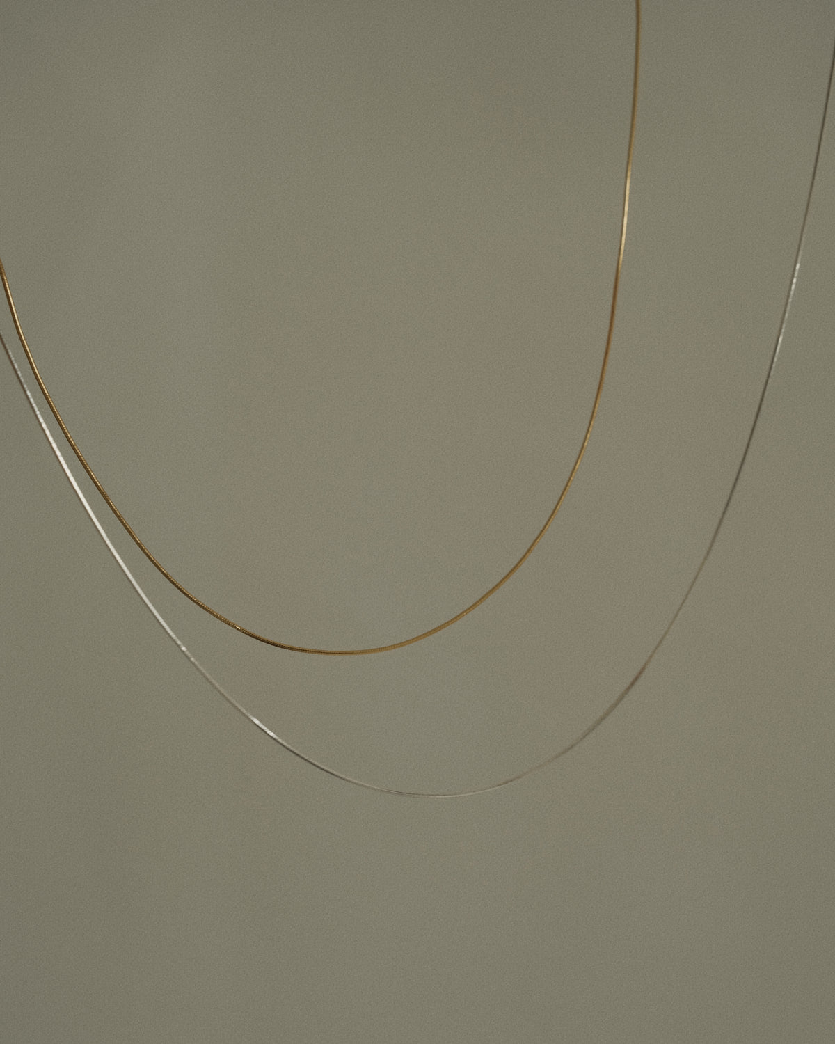 Bailey Mini Snake Chain Choker Necklace