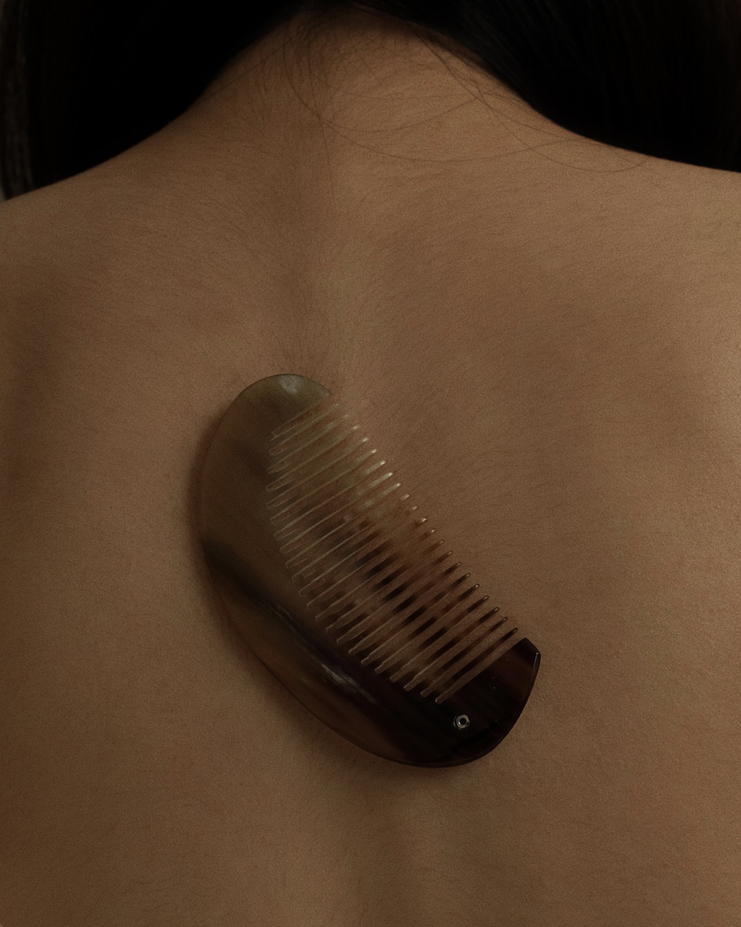 Curved Travel Horn Comb 002