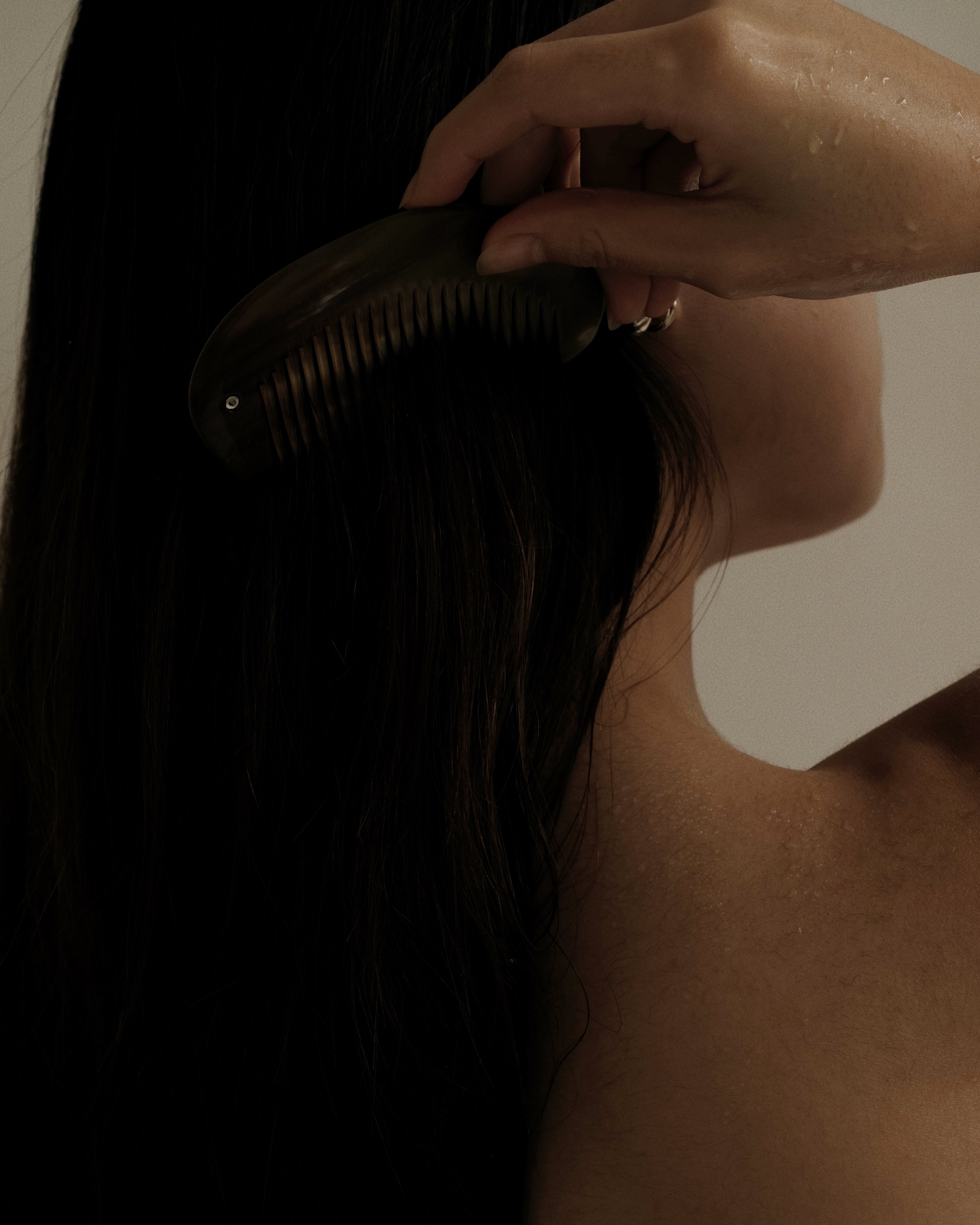 Curved Travel Horn Comb 002