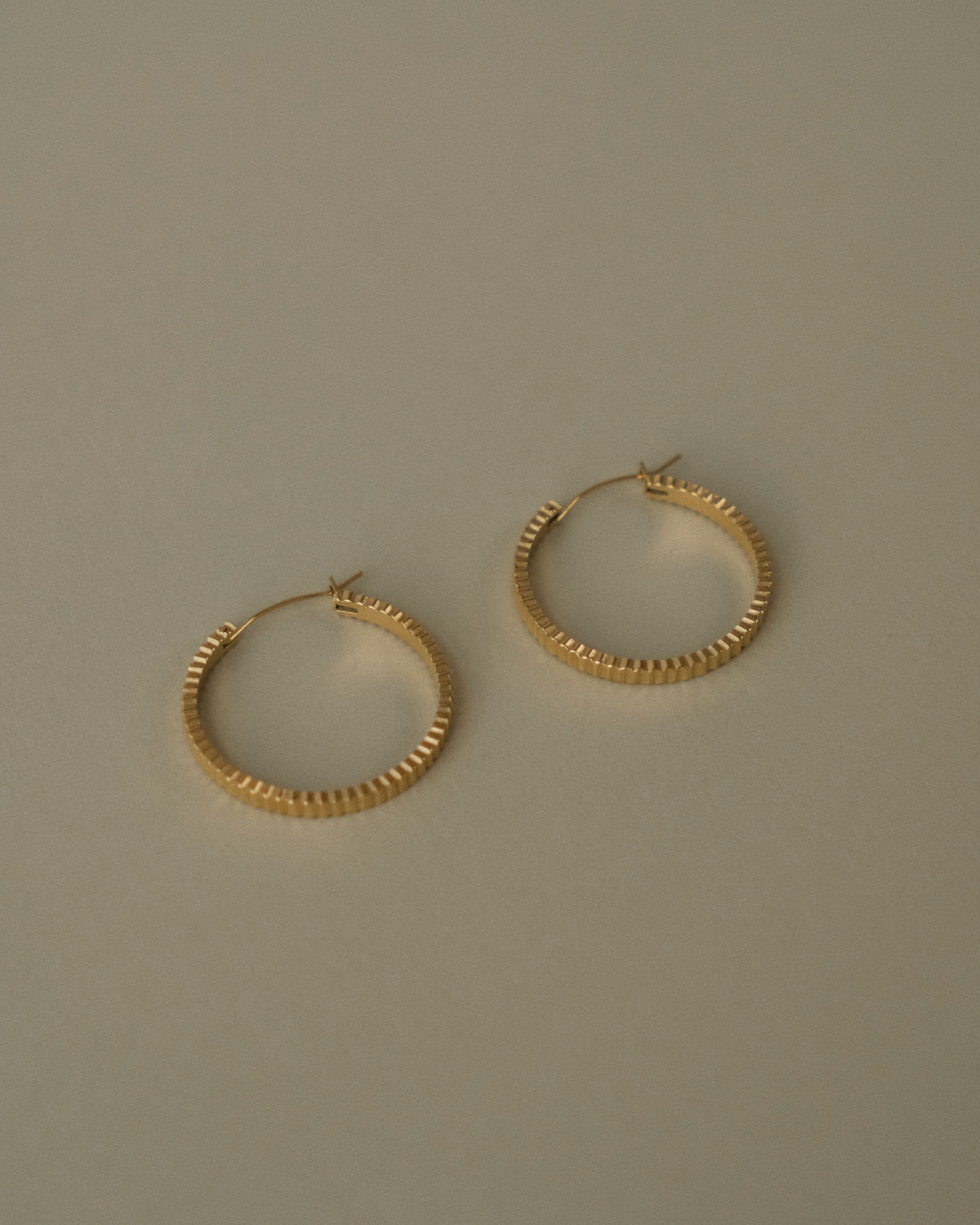 Paige Ribbed Hoop Earrings