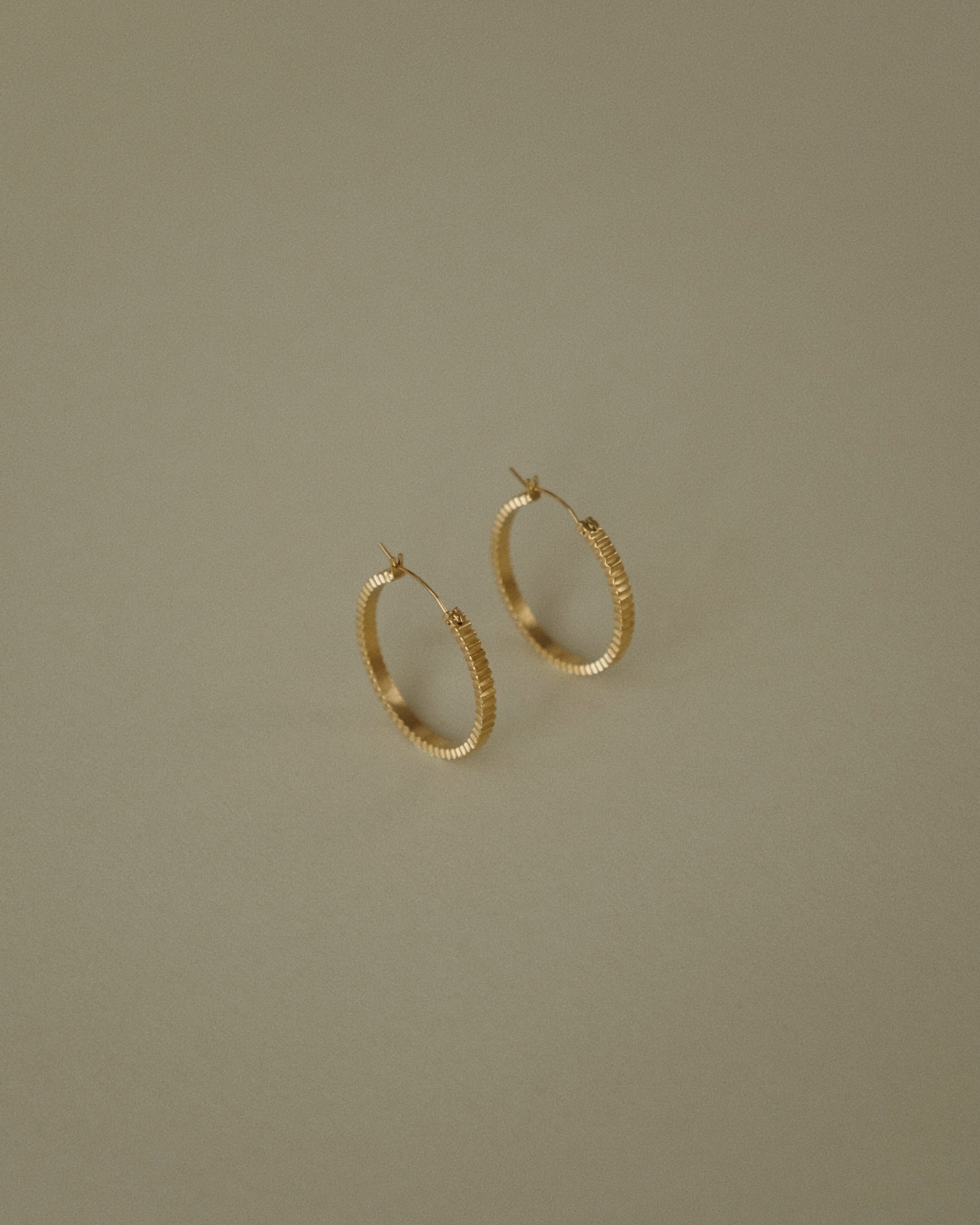 Paige Ribbed Hoop Earrings