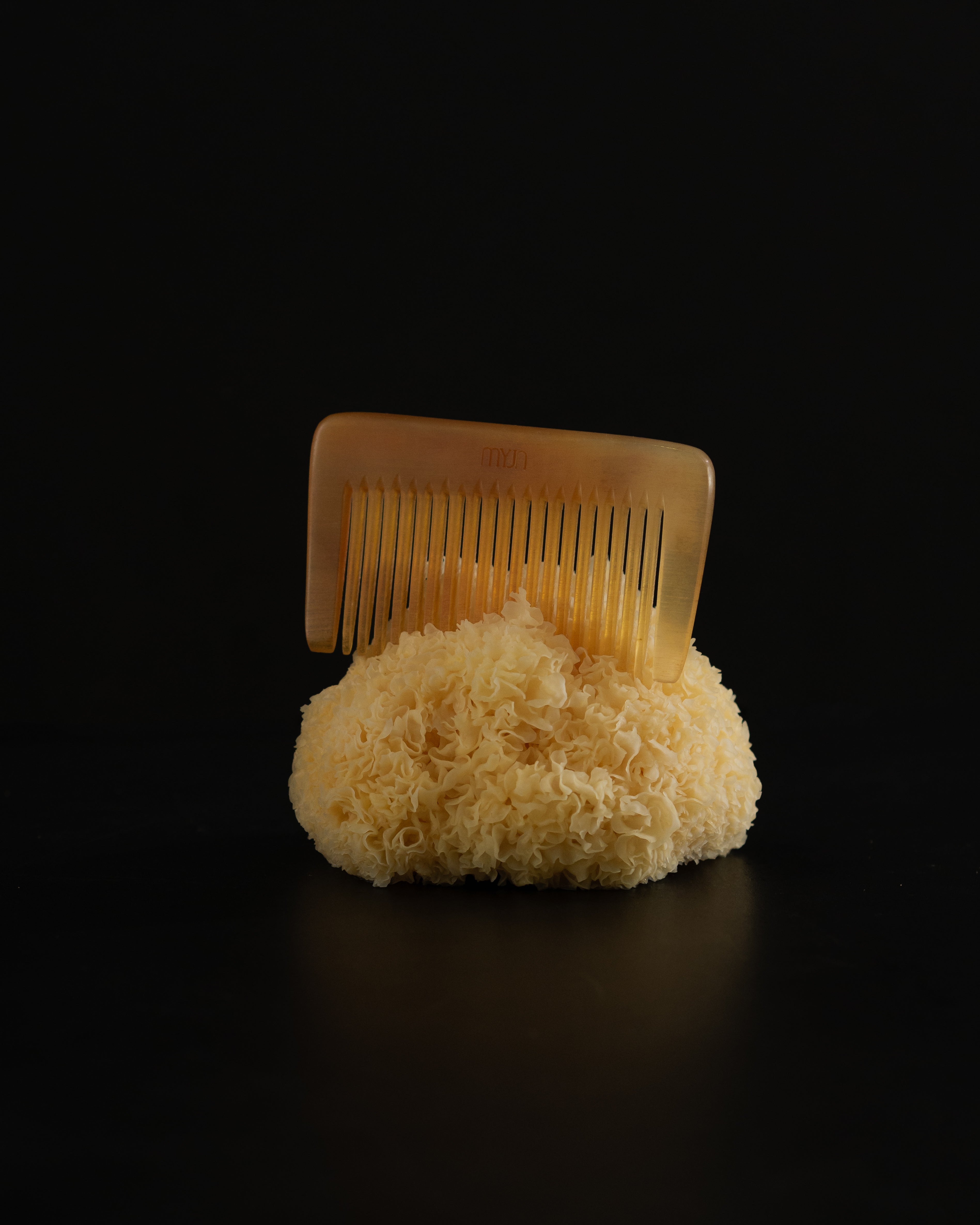 The Horn Comb 002