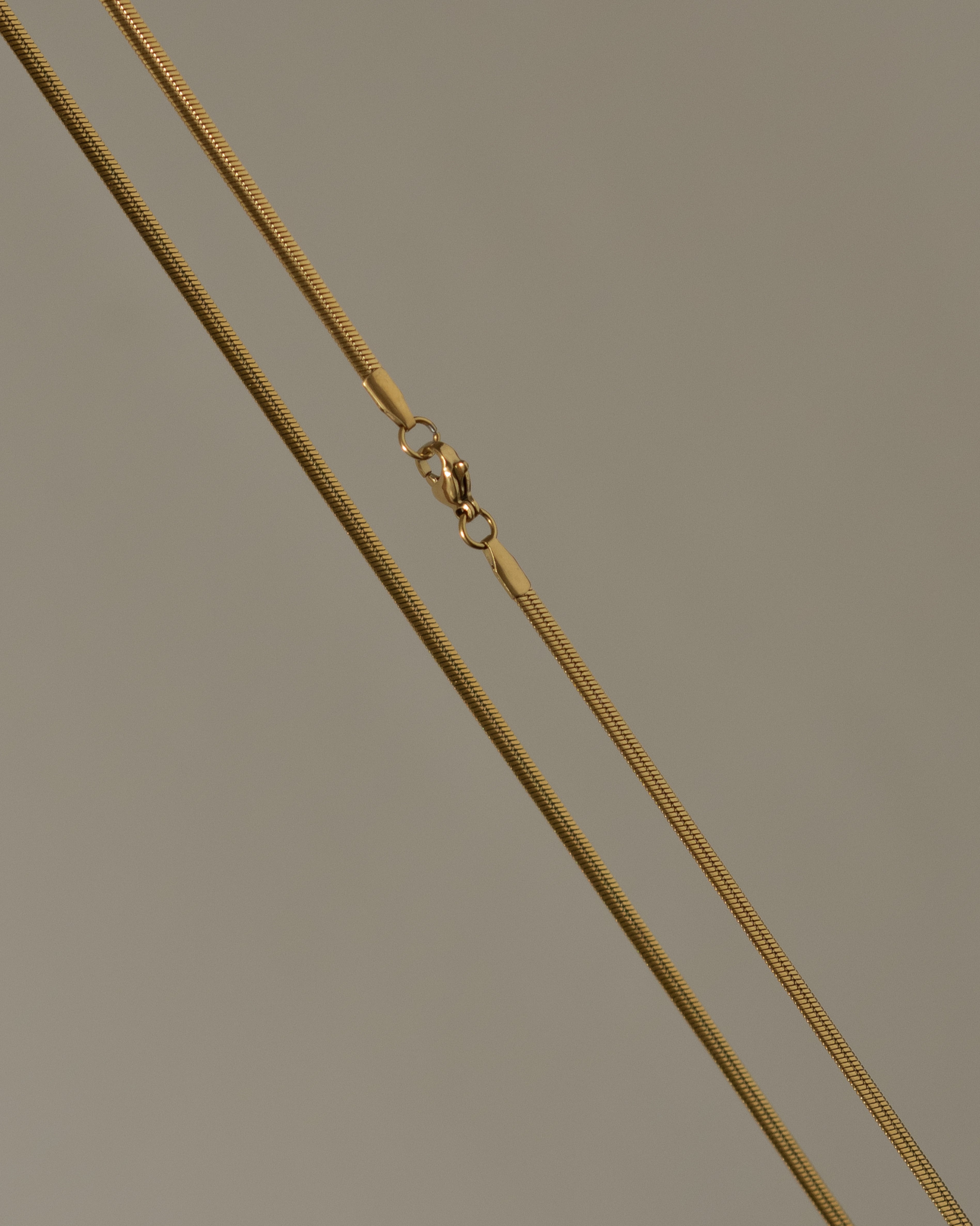 Petite Shadi Soft Snake Chain Choker Necklace