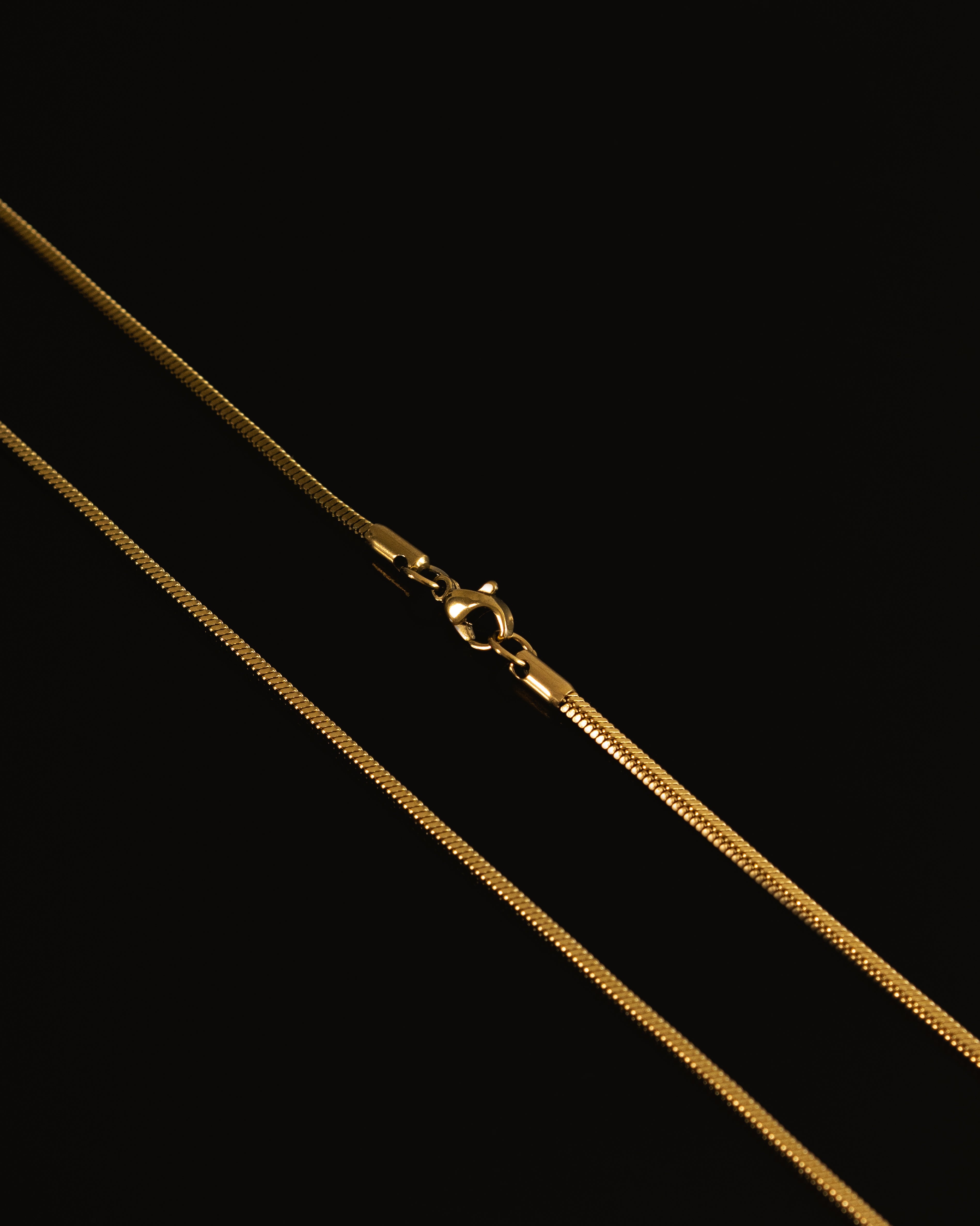 Maelie Square Snake Chain Herringbone Necklace
