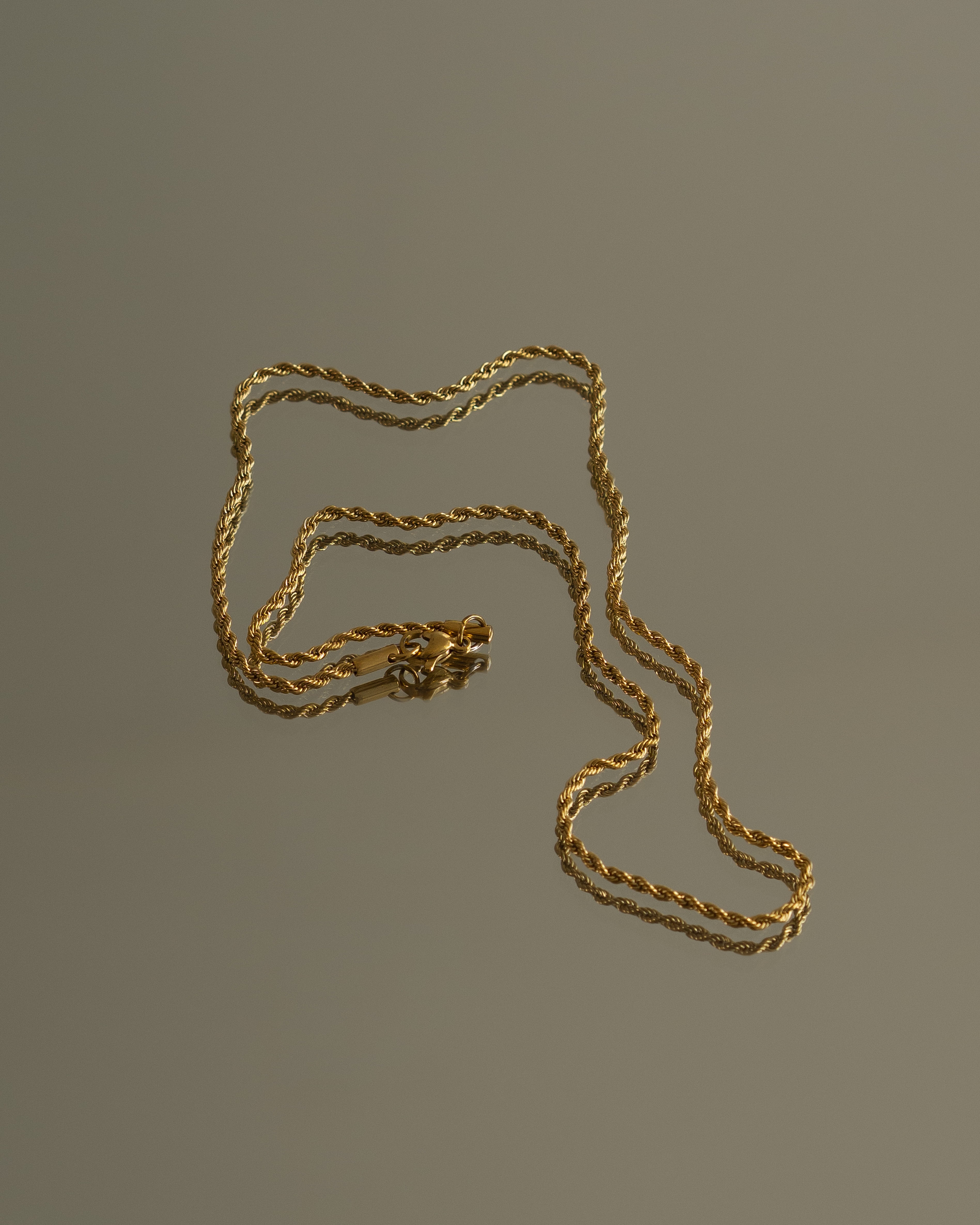 Petite Aziza Rope Chain Choker Necklace