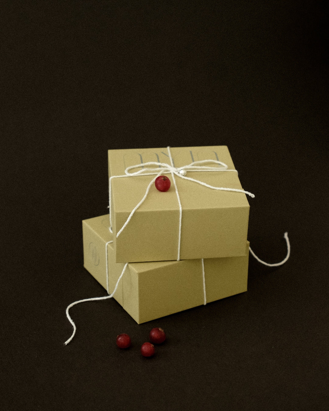 Holiday: The Olive Edition Gift Box