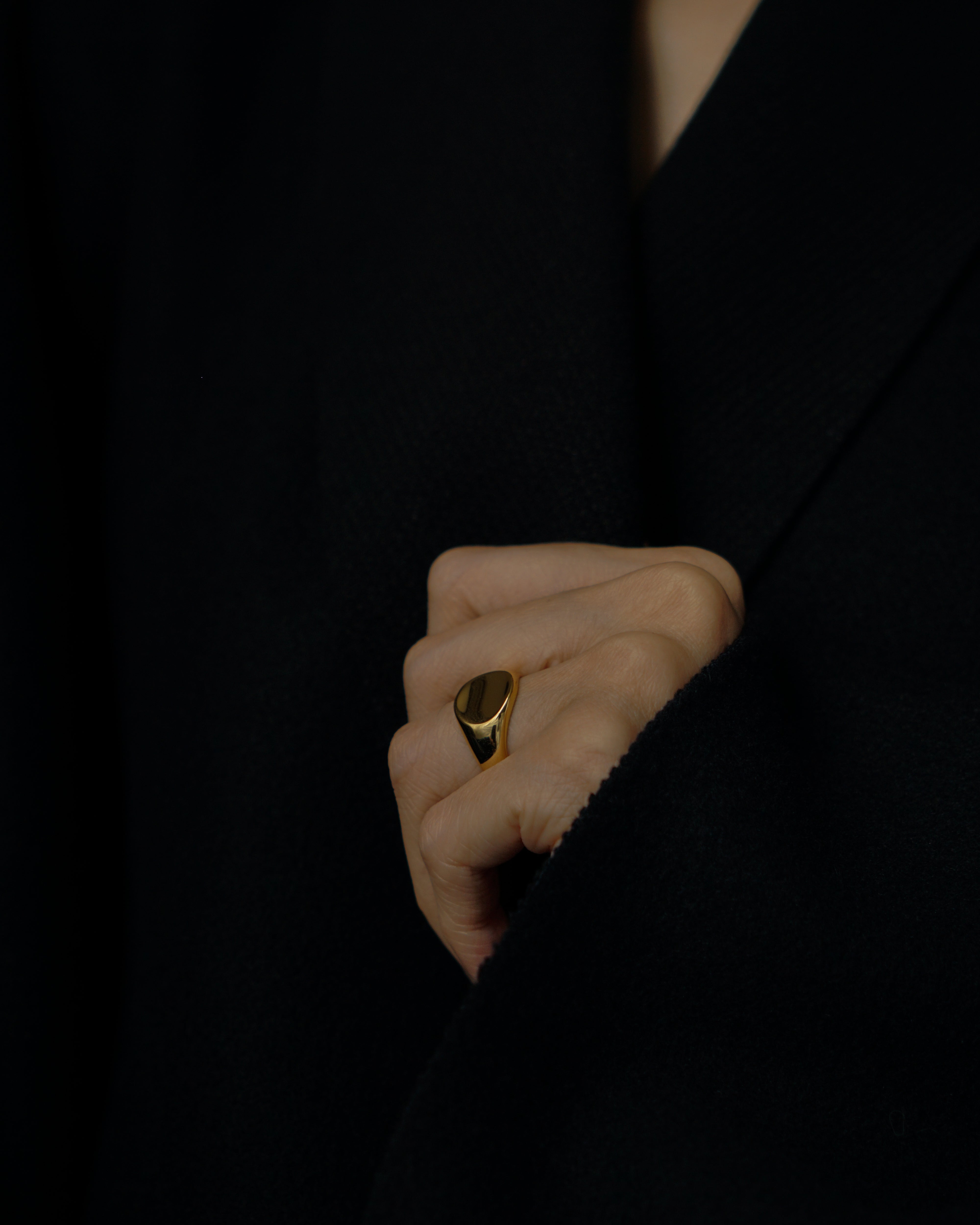 Paule Curve Signet Ring