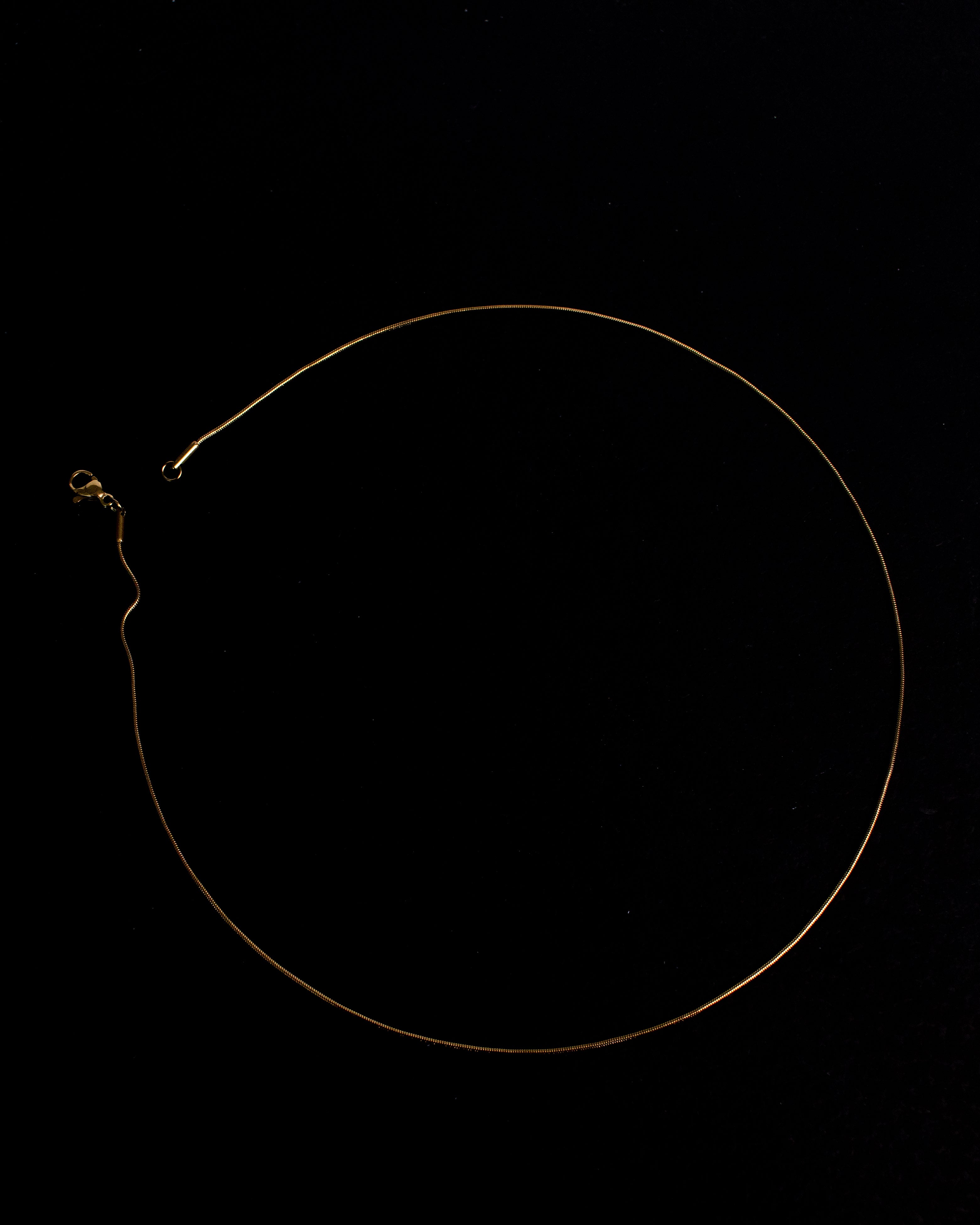 Aila Snake Chain Choker Necklace
