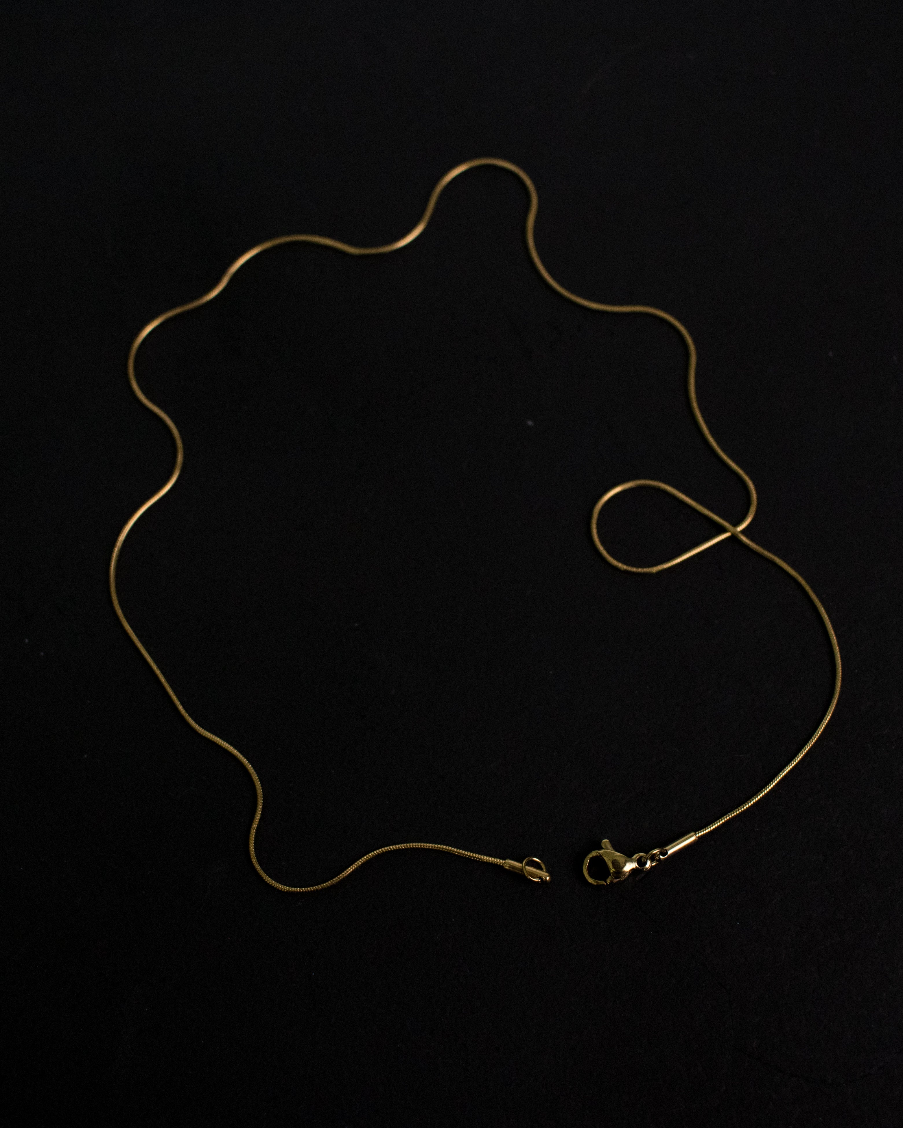 Aila Snake Chain Choker Necklace