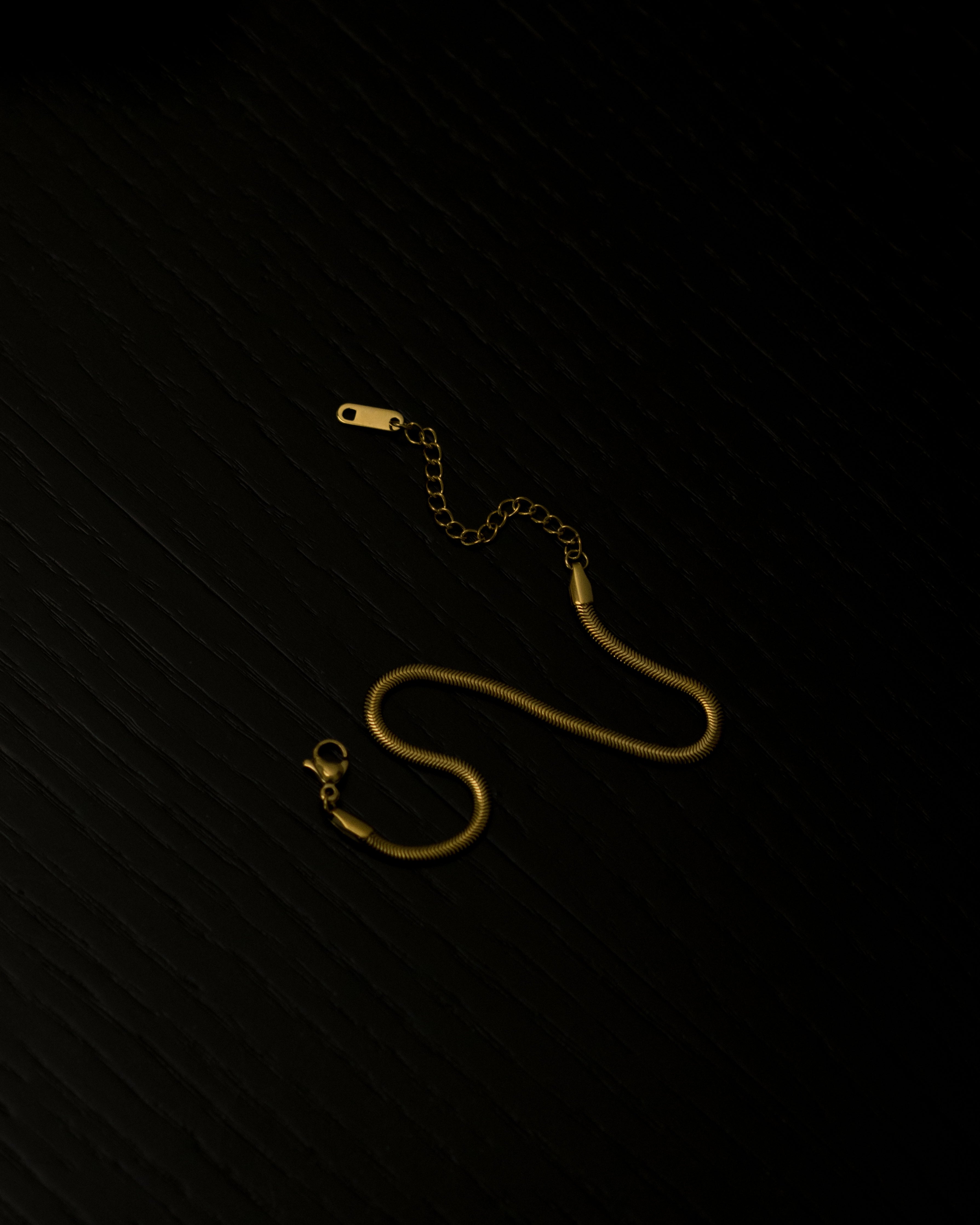 Petite Shadi Soft Snake Chain Bracelet