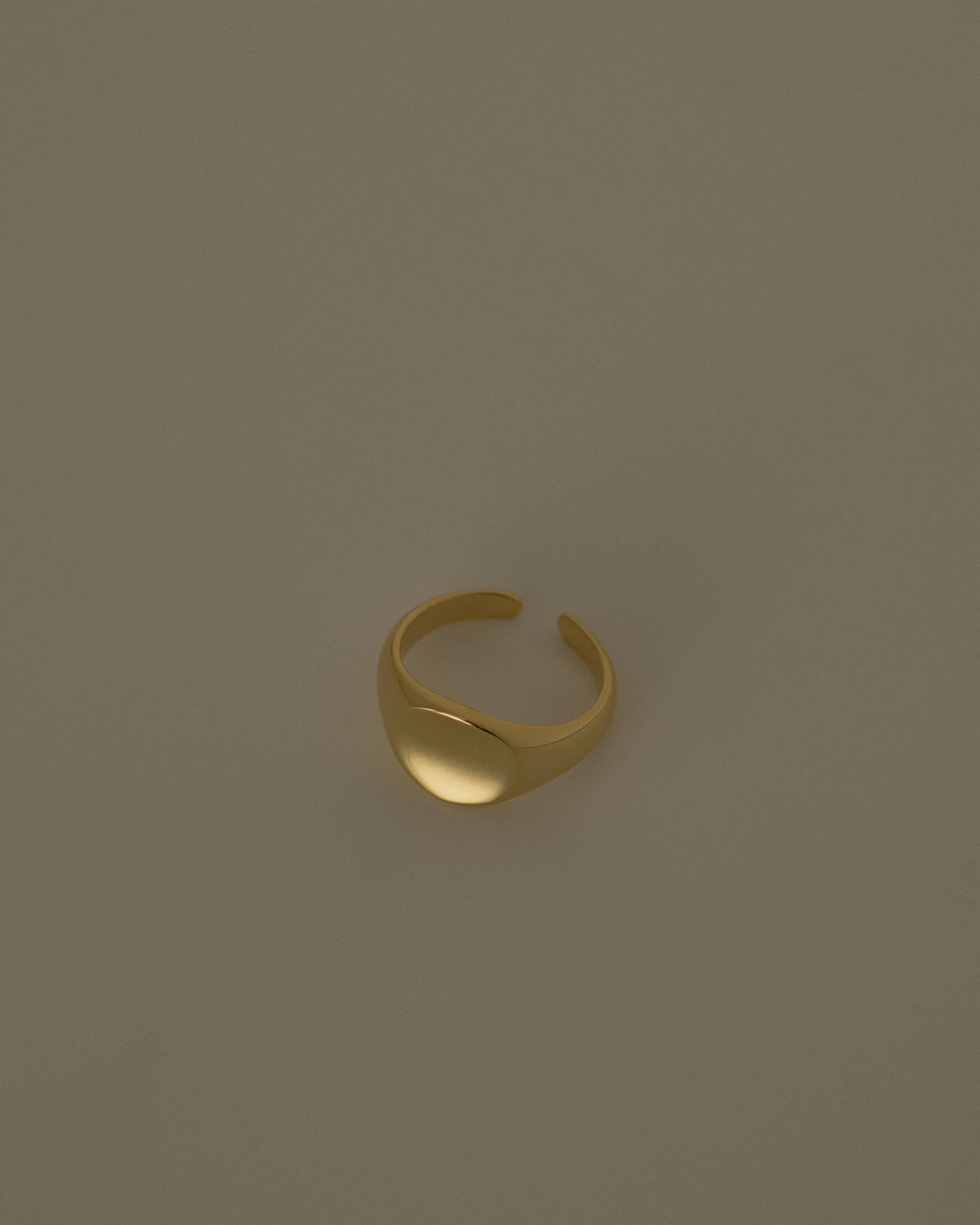 Paule Curve Signet Ring