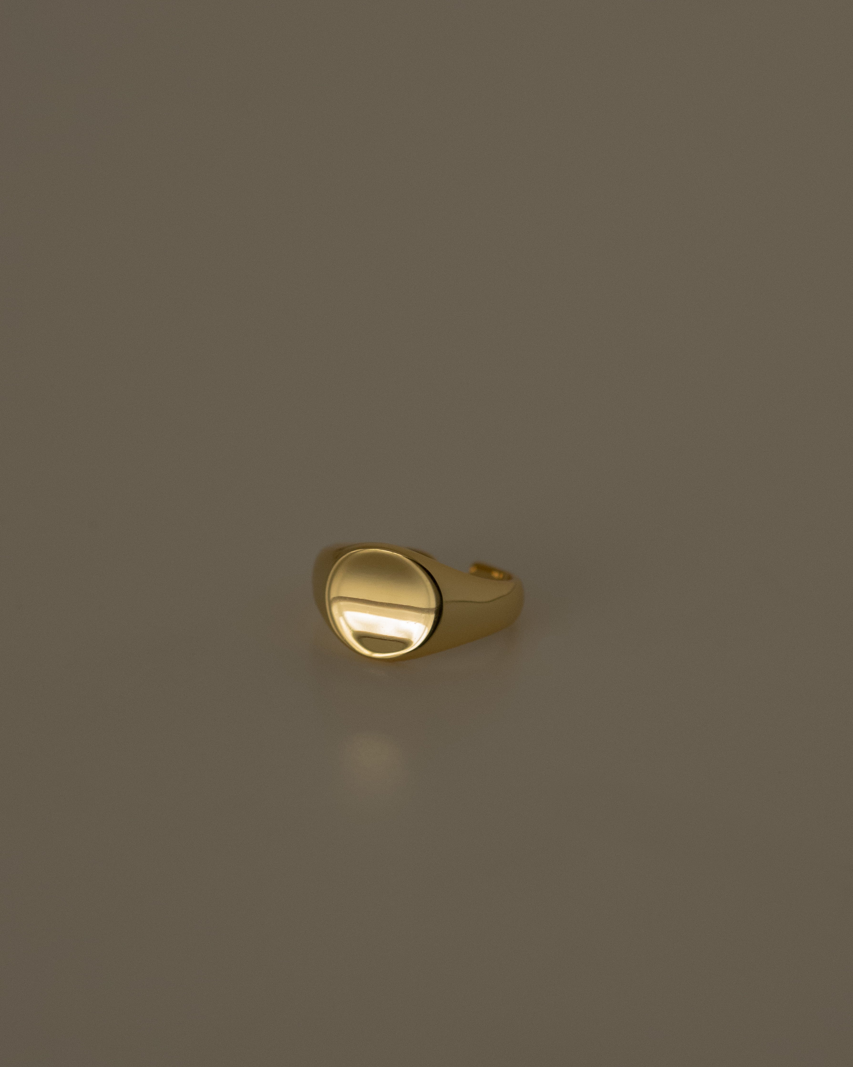 Paule Curve Signet Ring