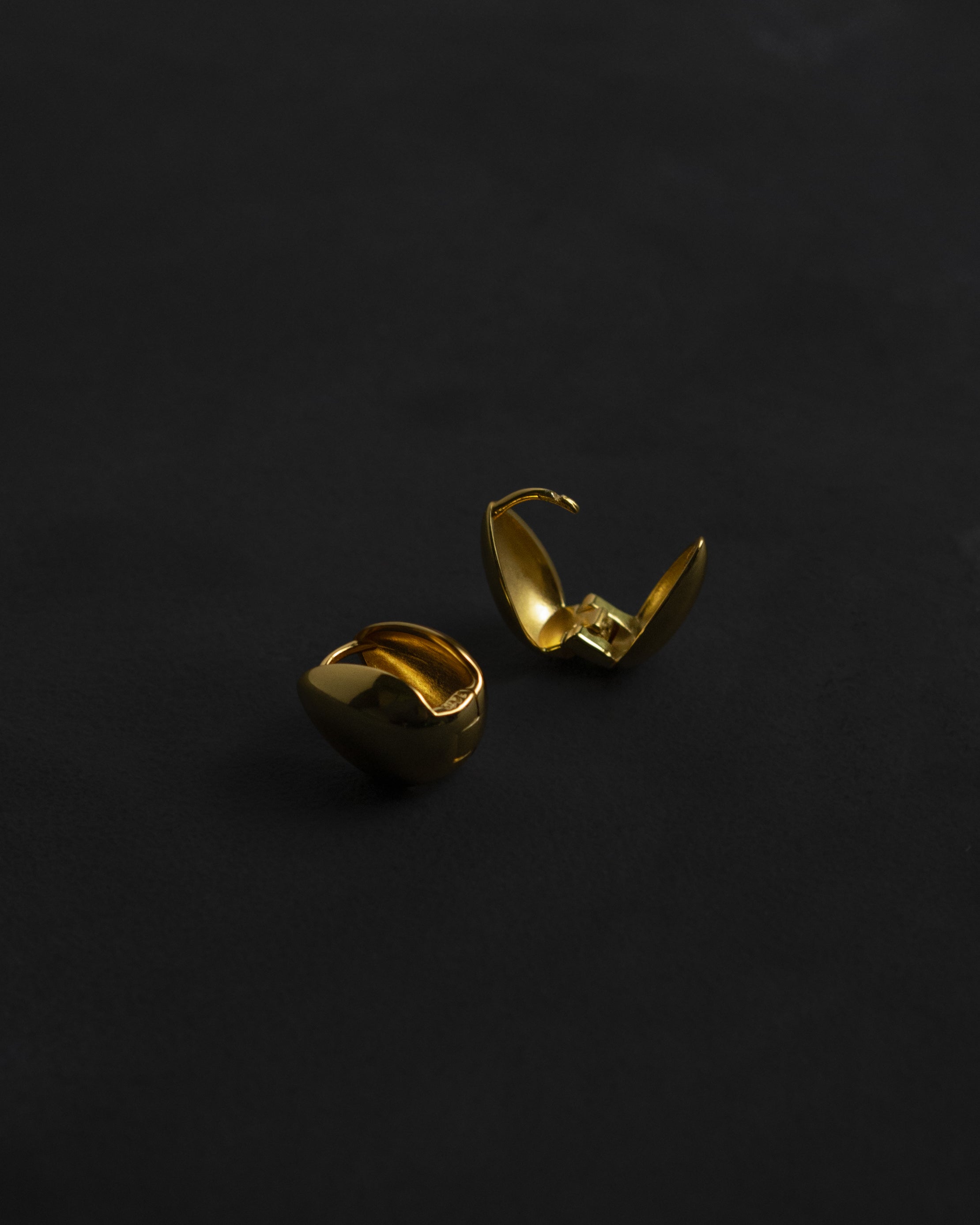 Sadie Teardrop Lock Earrings