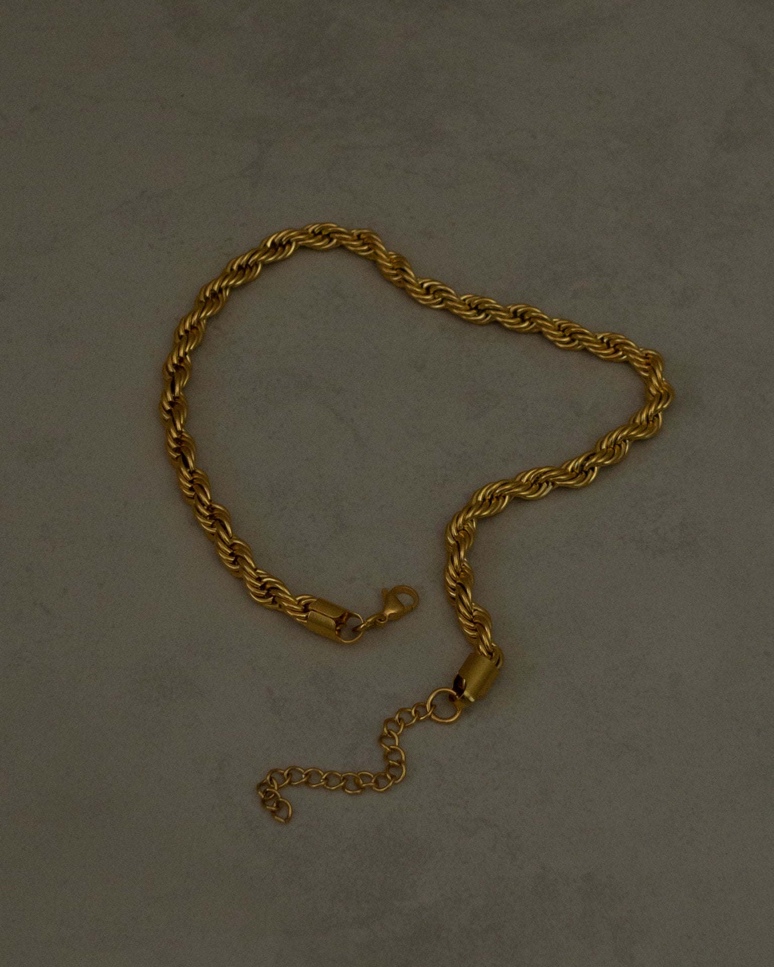 Aziza Bold Rope Chain Choker Necklace