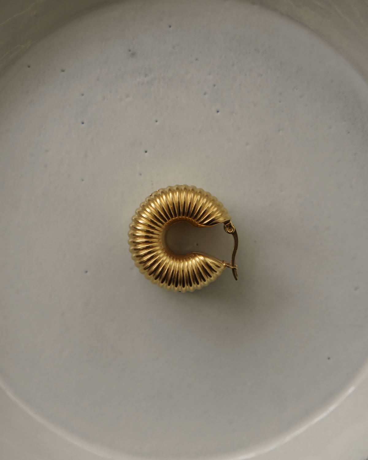 Coletta Macaroni Hoop Earrings