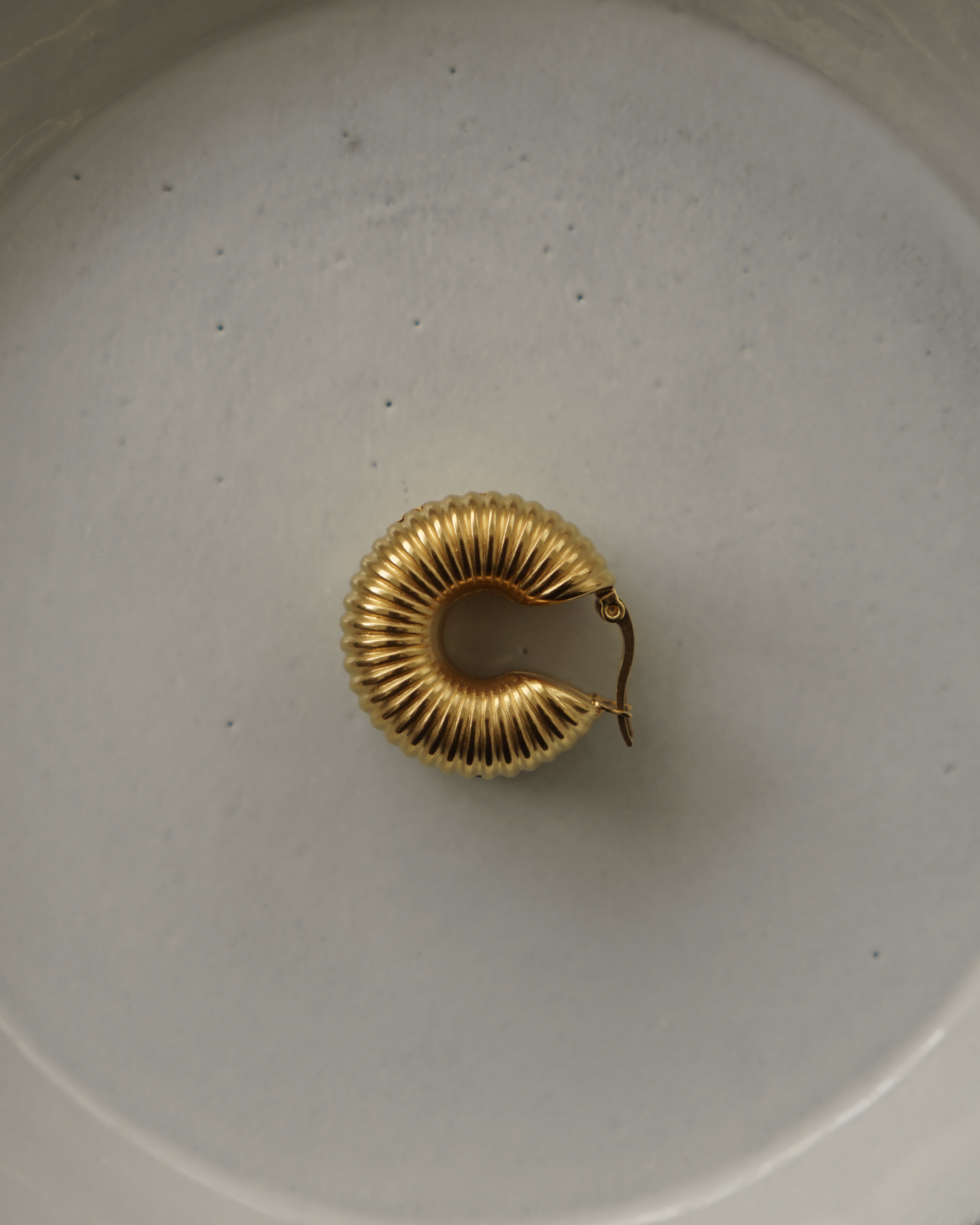 Coletta Macaroni Hoop Earrings