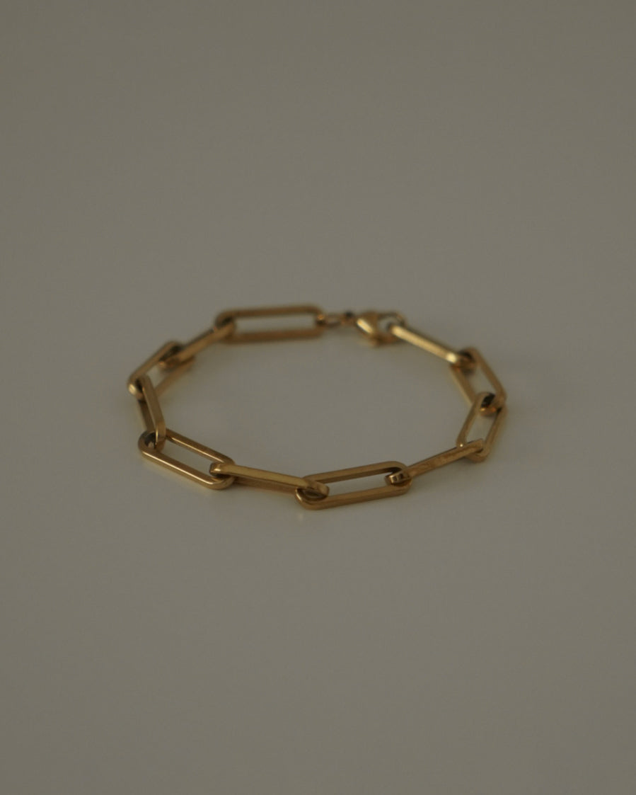 Lita Bold Chain Link Bracelet