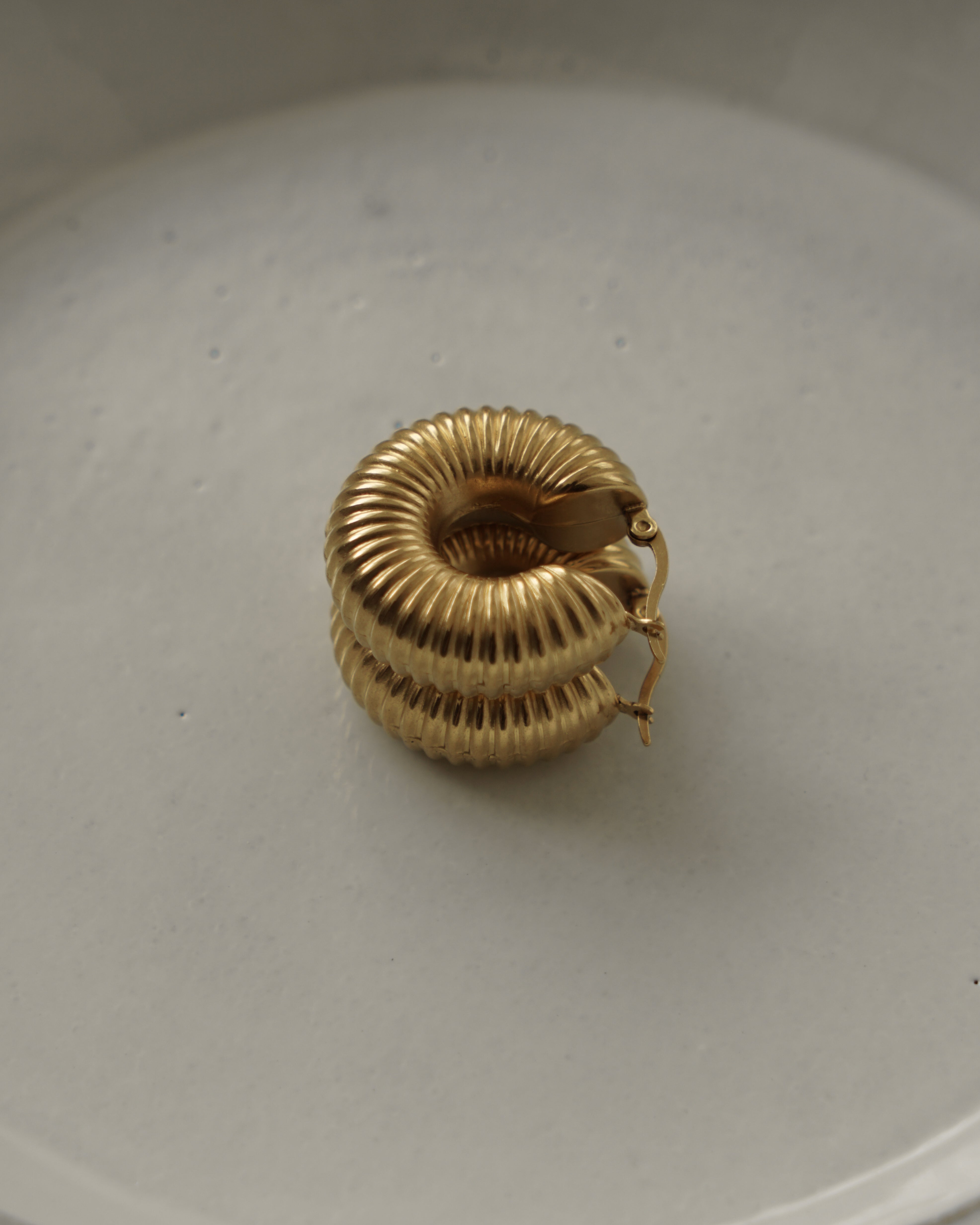 Coletta Macaroni Hoop Earrings