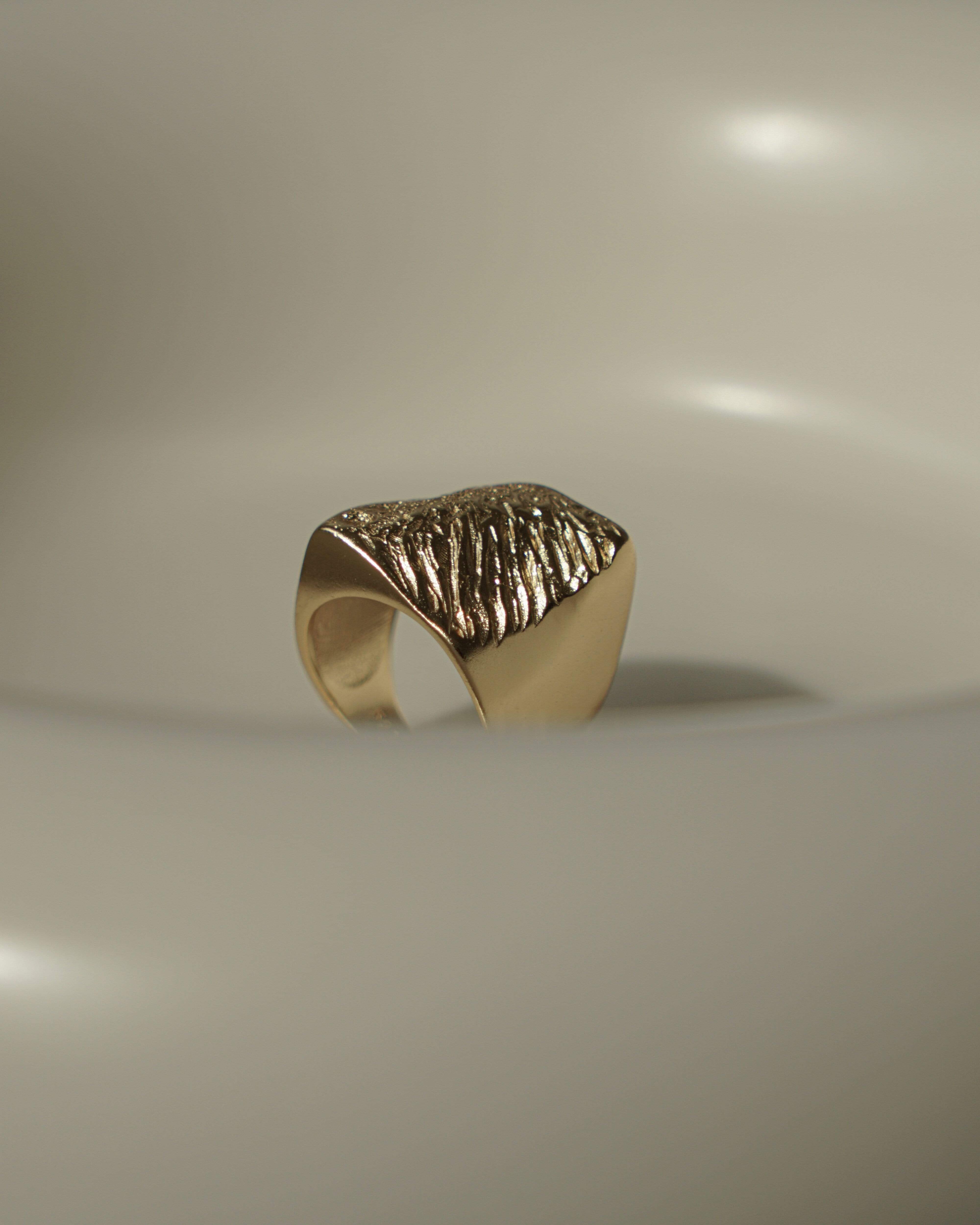 MYJN Rings Gold Vermeil Llyr Bold Signet Ring
