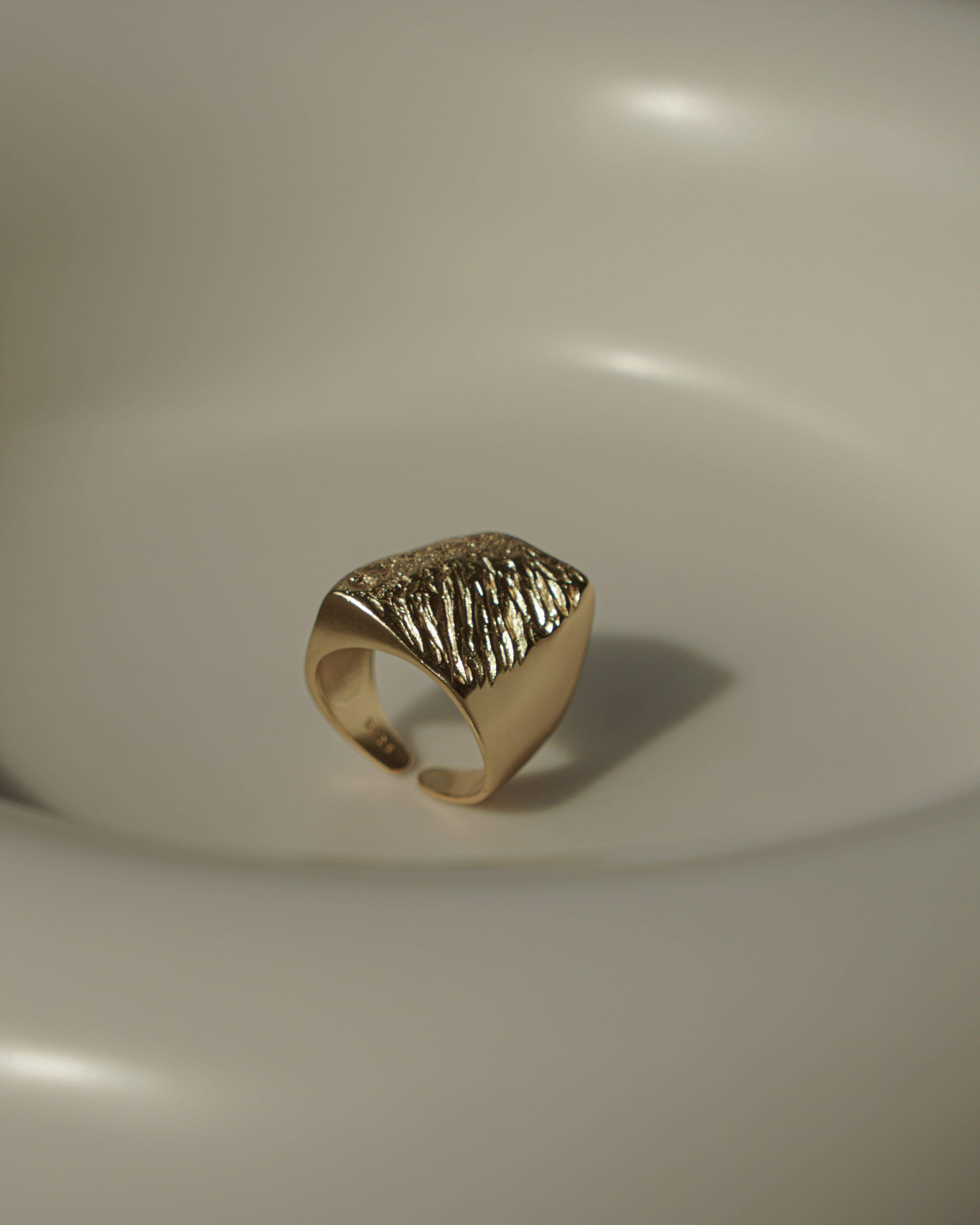 MYJN Rings Gold Vermeil Llyr Bold Signet Ring