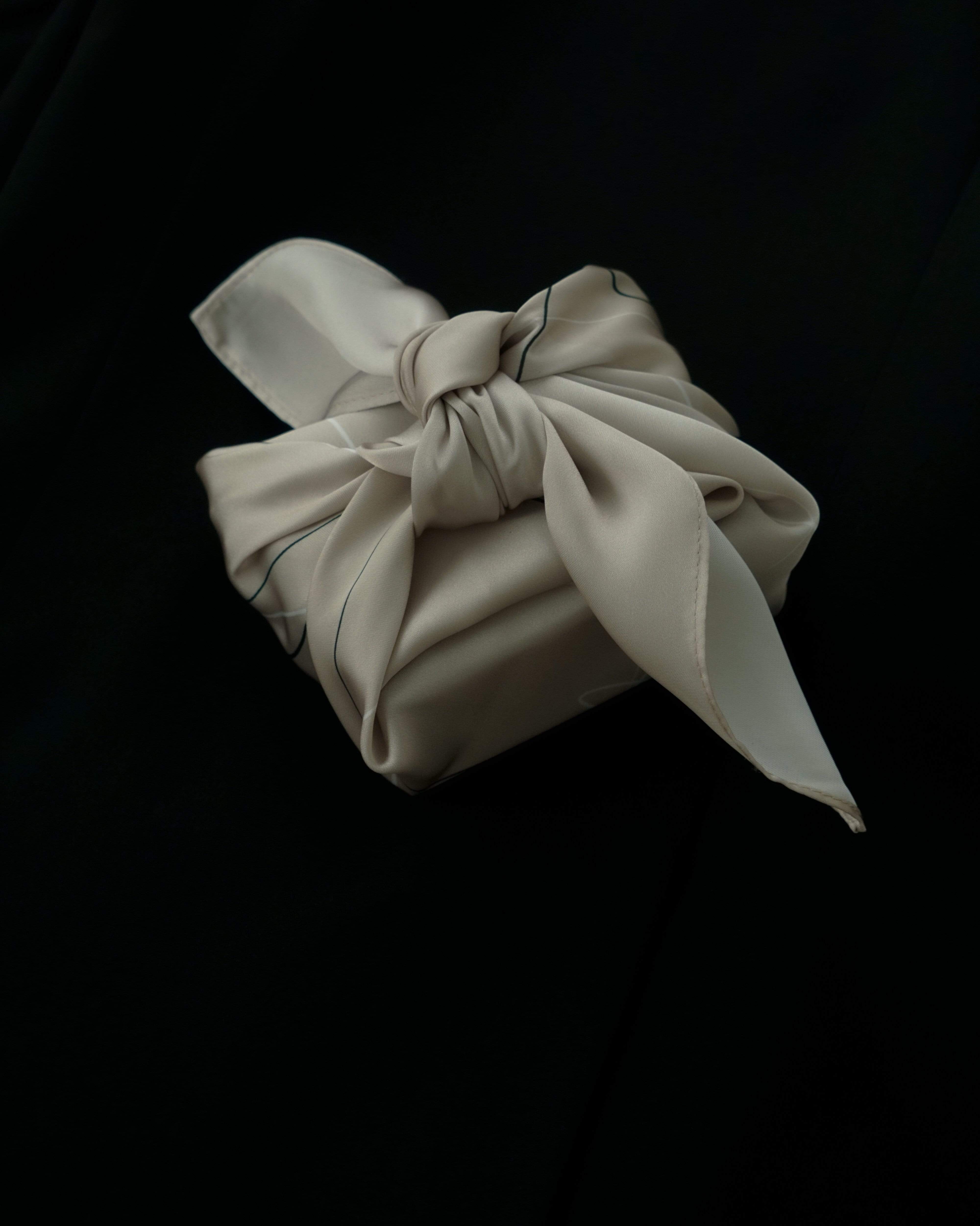 MYJN Scarf Cream Silk Scarf