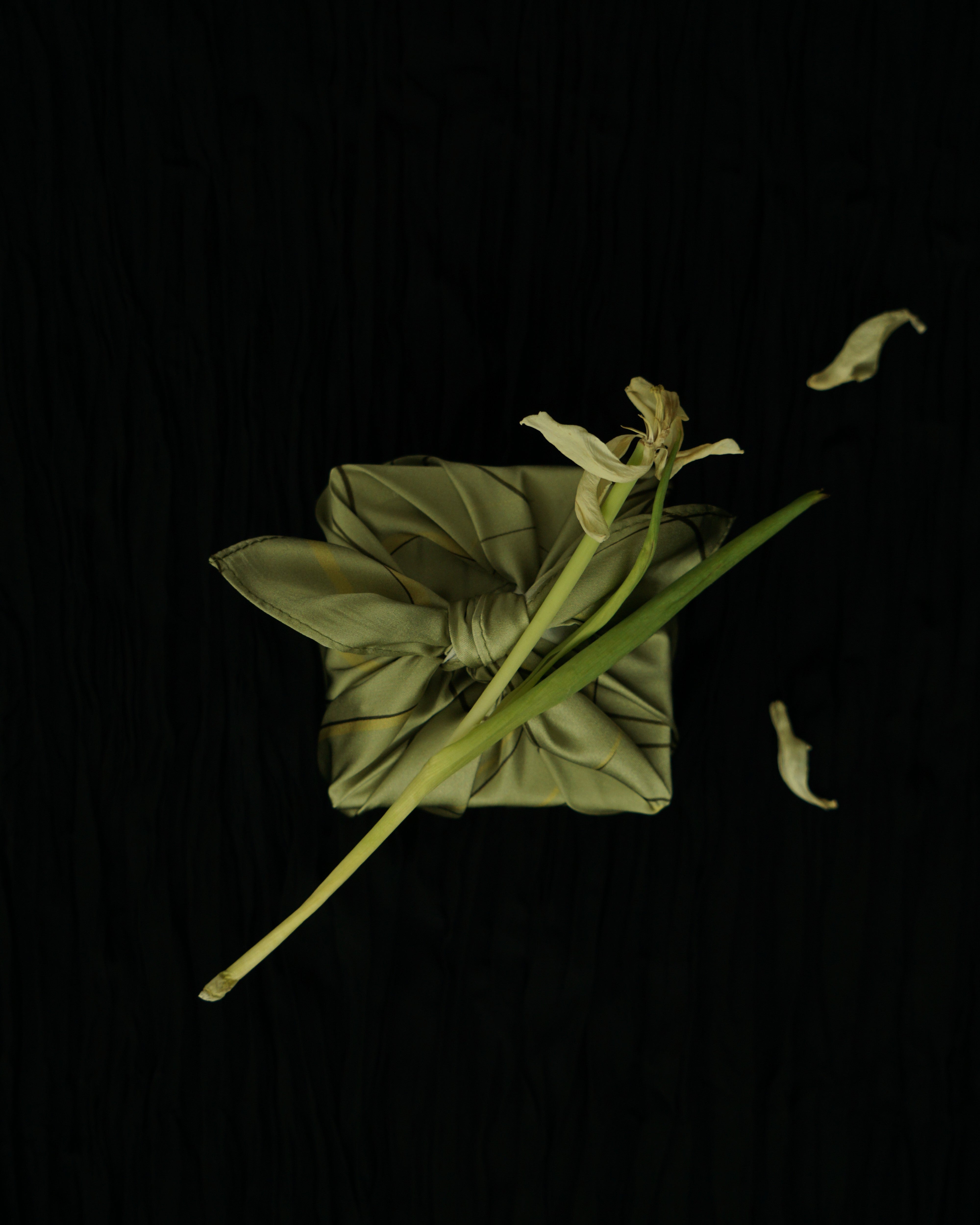 Chartreuse Silk Scarf