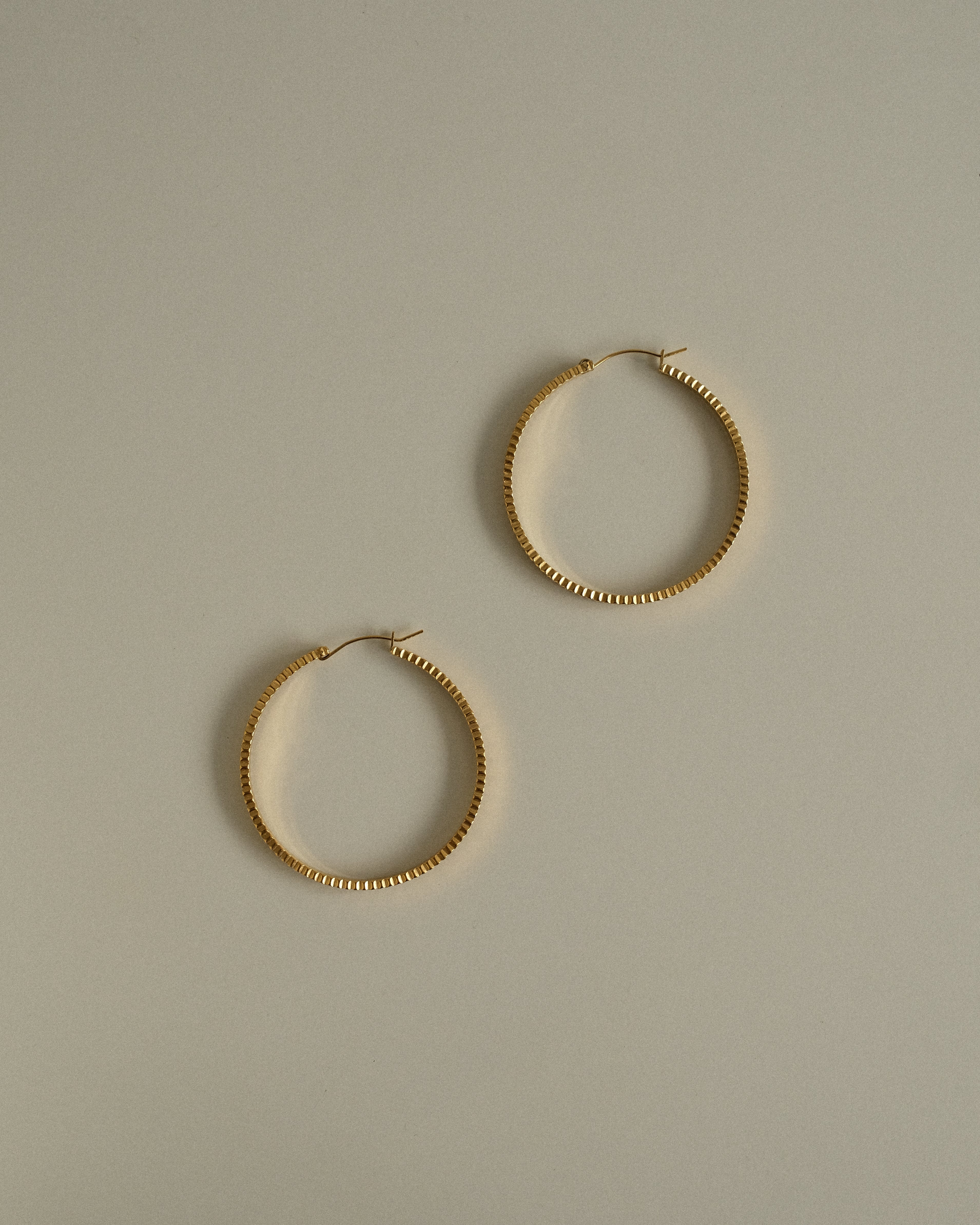 Paige Ribbed Hoop Earrings