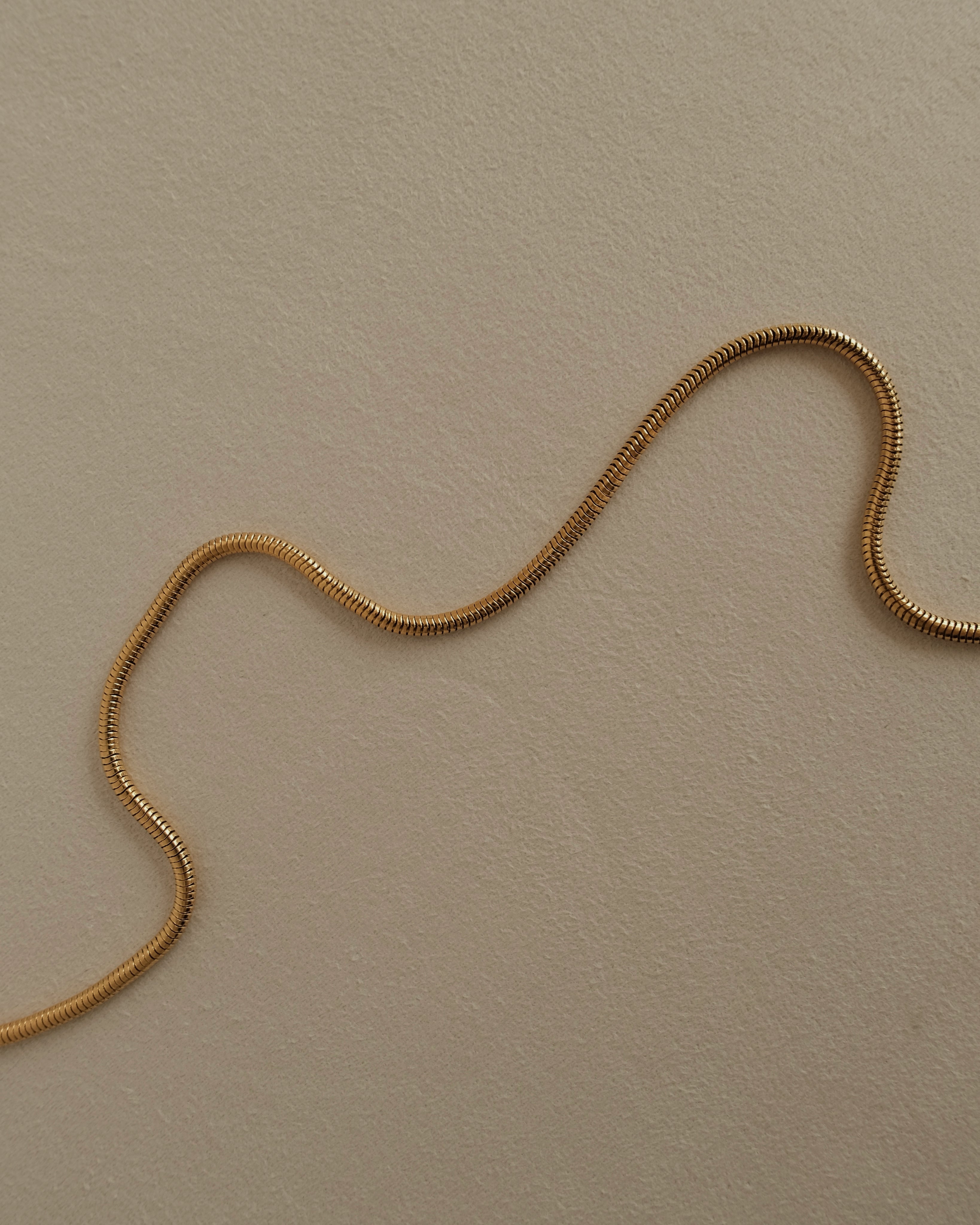 Maely Round Herringbone Snake Chain Necklace