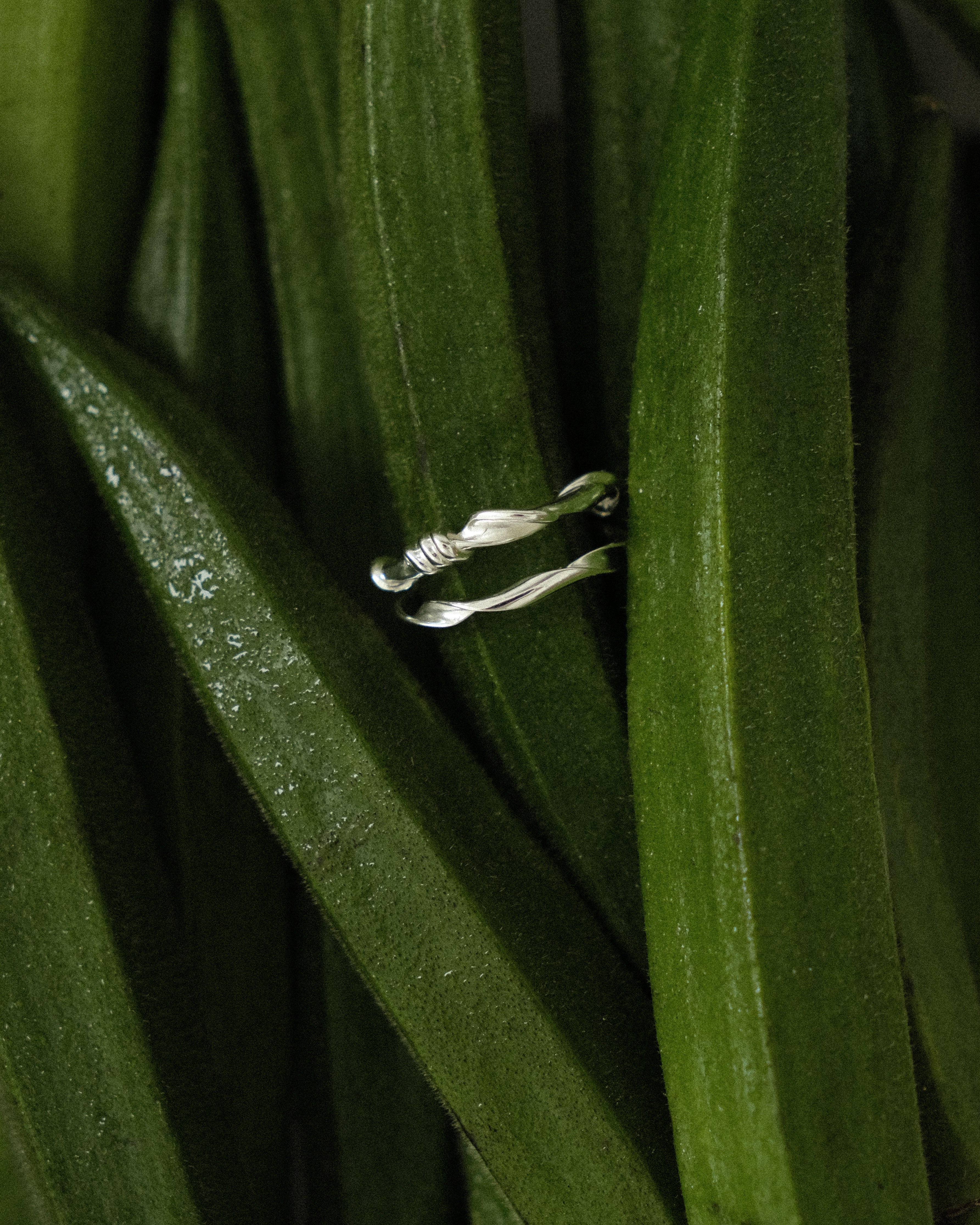 Olea Duo Vine Ring