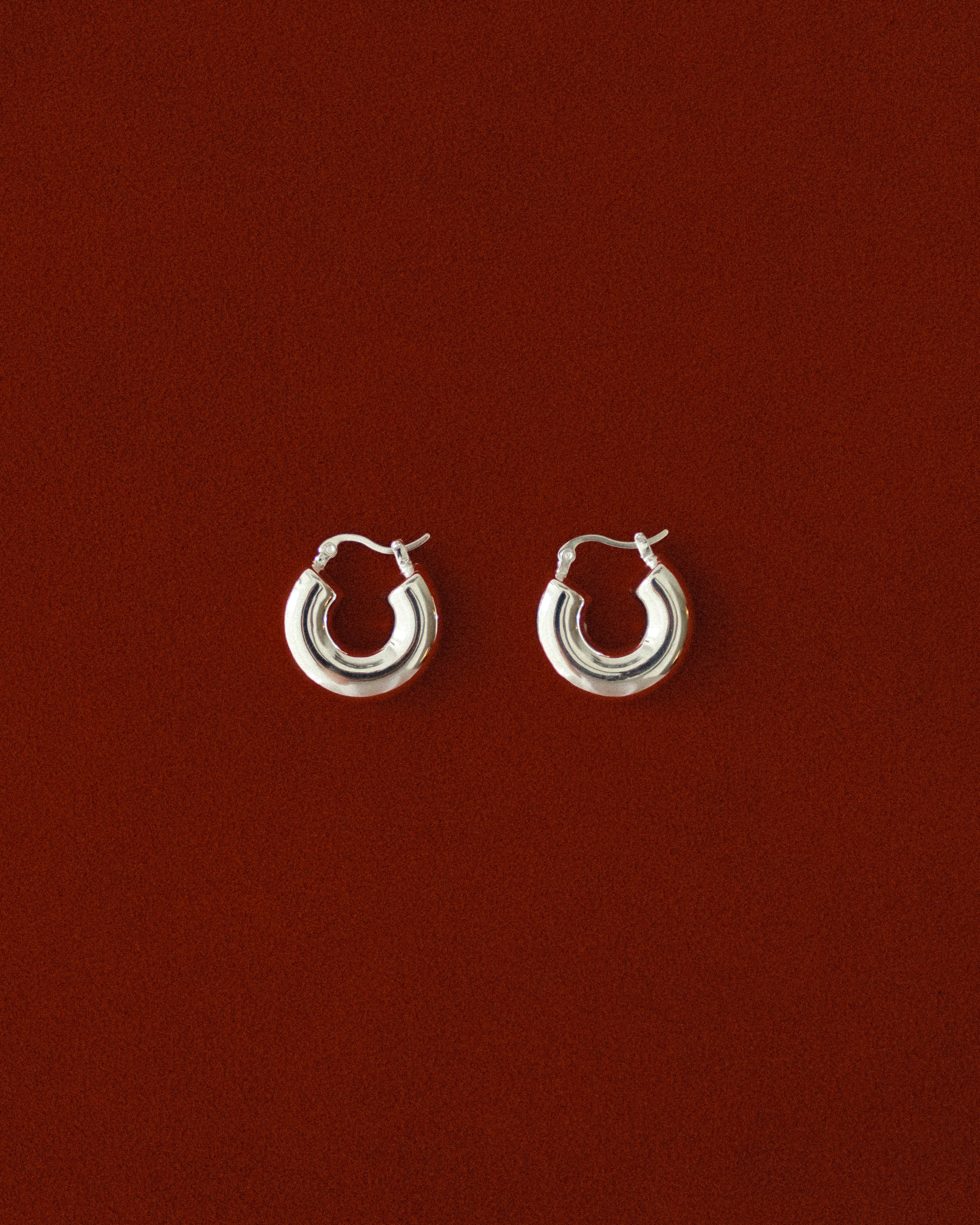 Margaret Round Donut Hoop Earrings