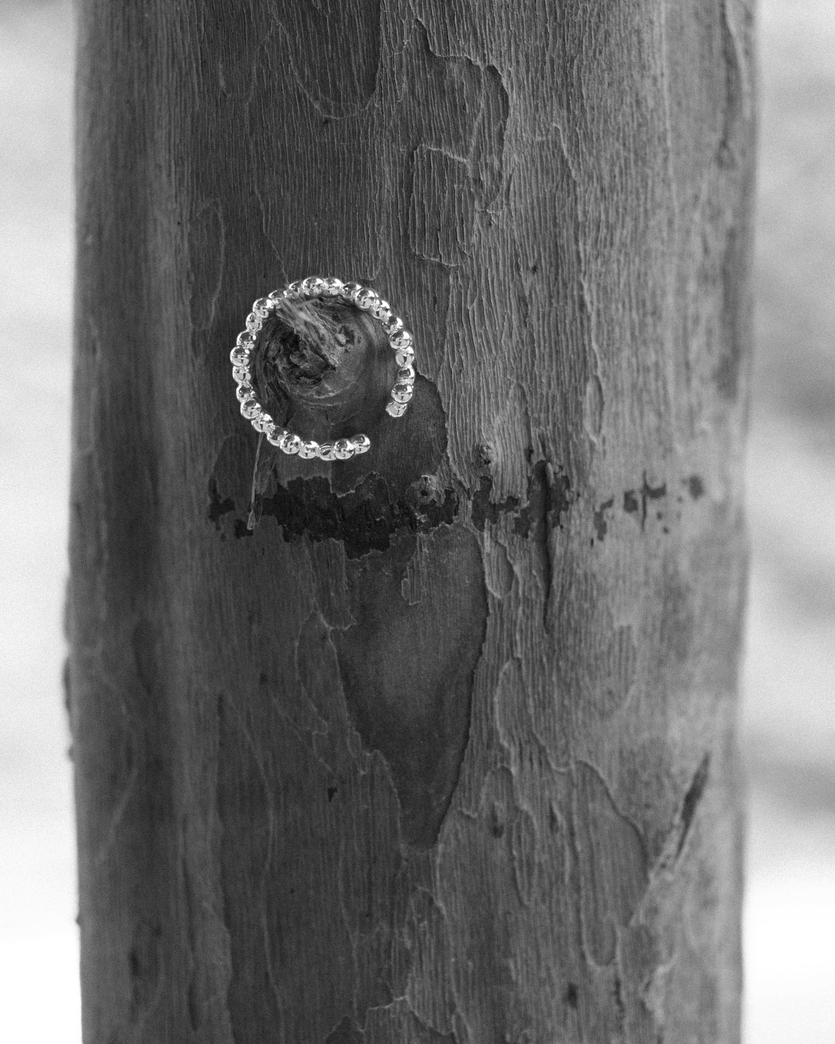 A delicate silver floral-shaped ring hanging gracefully from a broken tree branch, suspended against the textured surface of an aged tree trunk. Captured in a monochromatic composition, the intricate details of the bark and the sculptural form of the silver jewellery create a poetic contrast between organic nature and refined craftsmanship. Soft, natural lighting highlights the textures, imperfections, and quiet elegance of the scene.