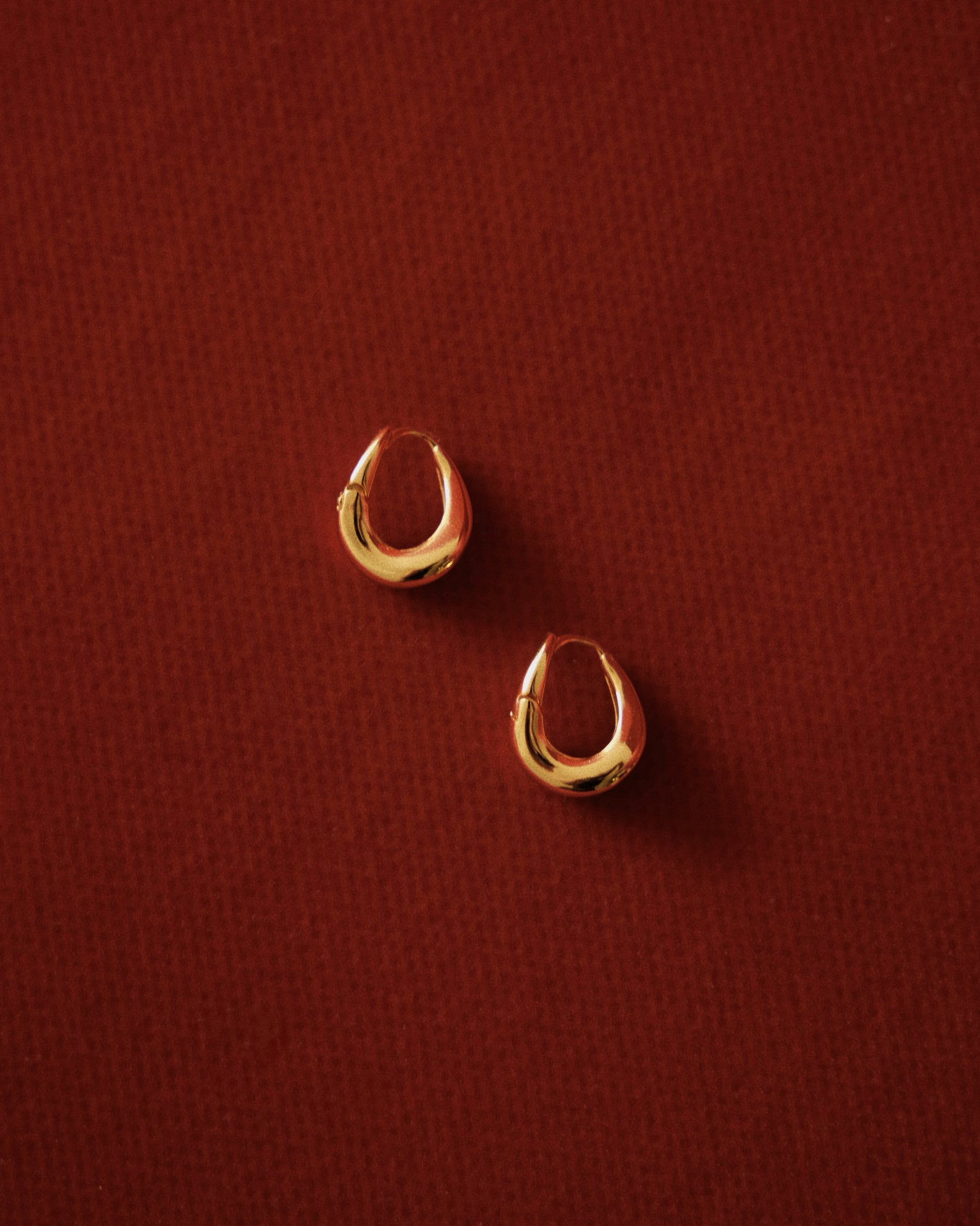 Talia Twist Hoop Earrings