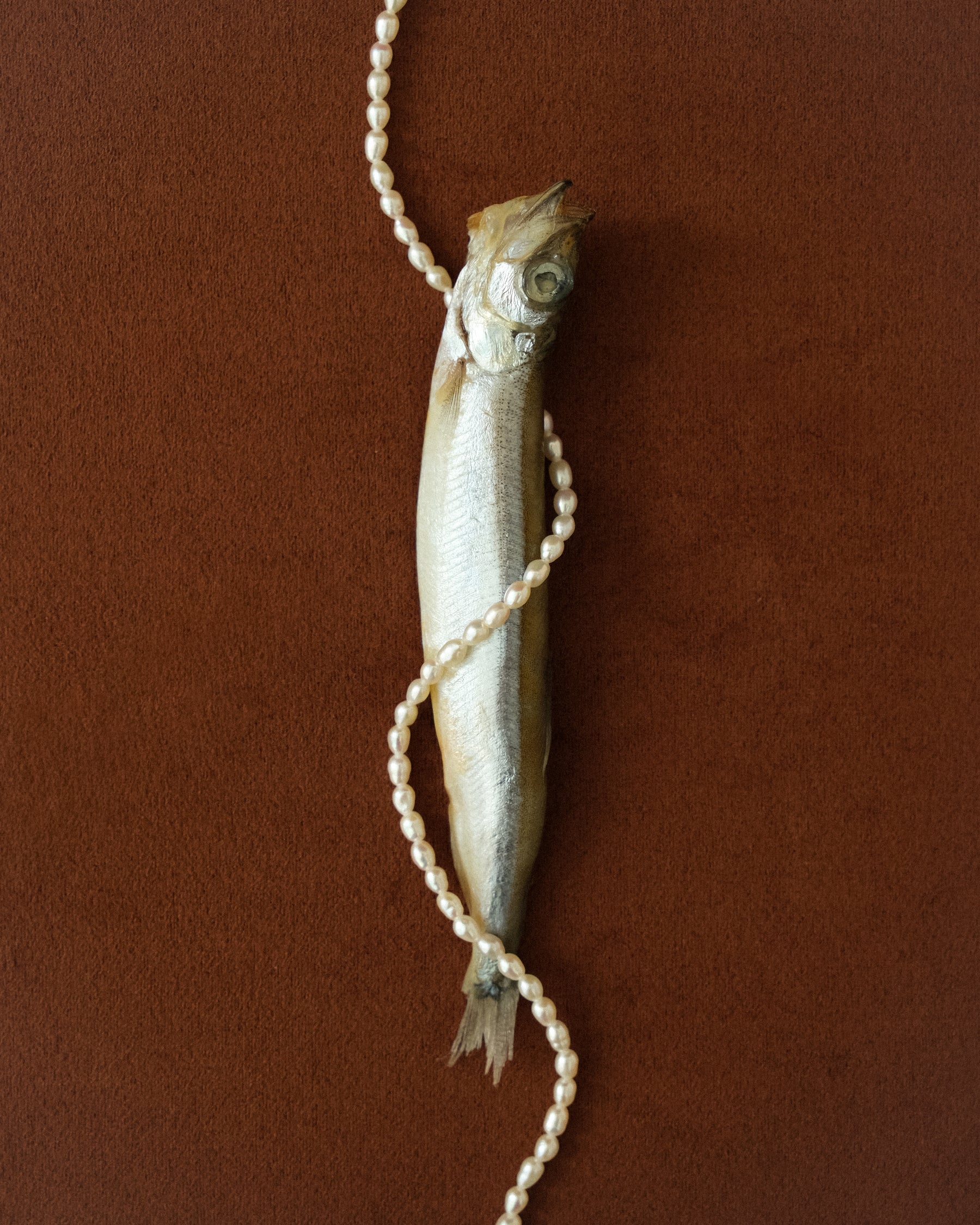 Aether Fresh Water Pearl Necklace