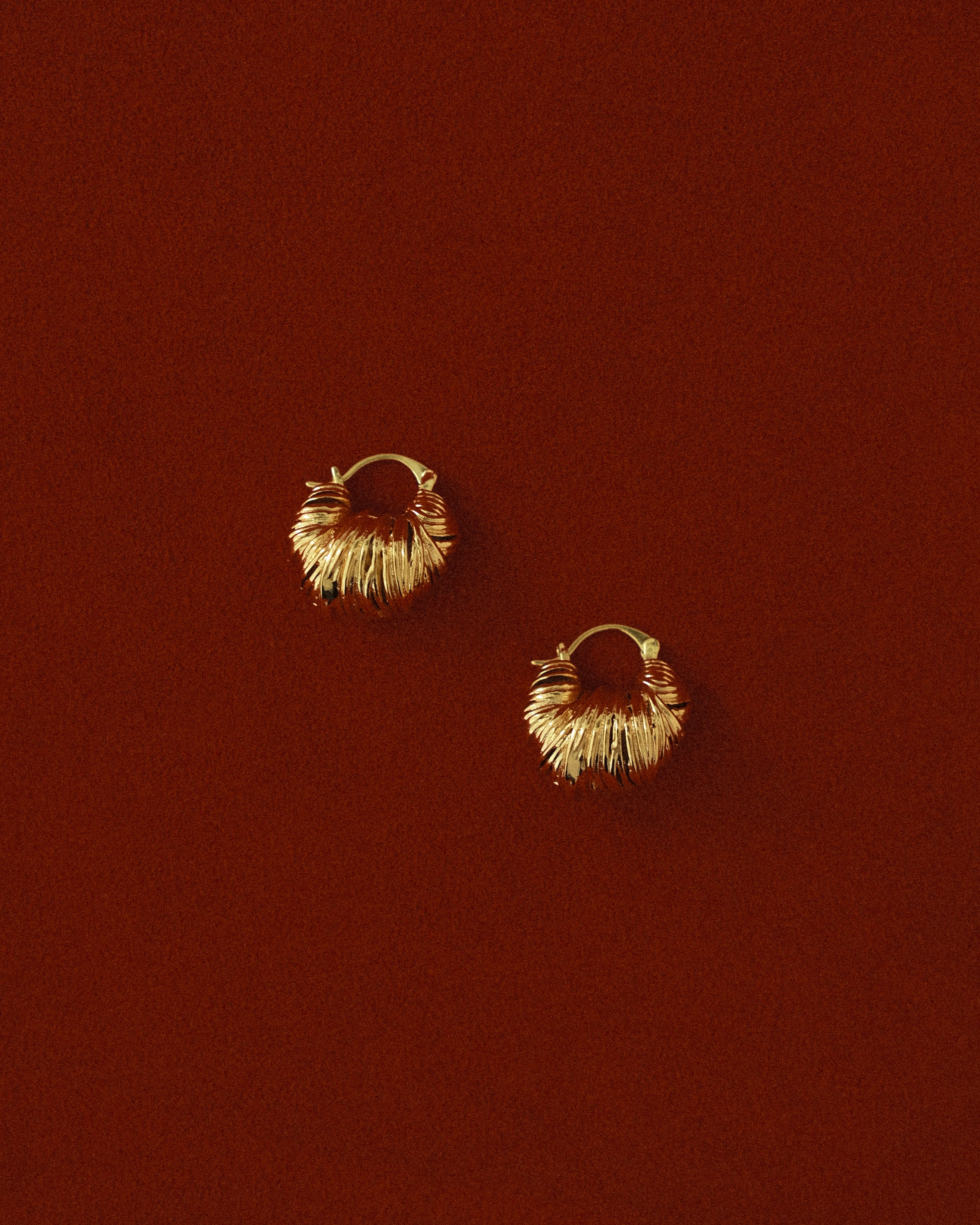 Bold Loïs Woven Donut Hoop Earrings