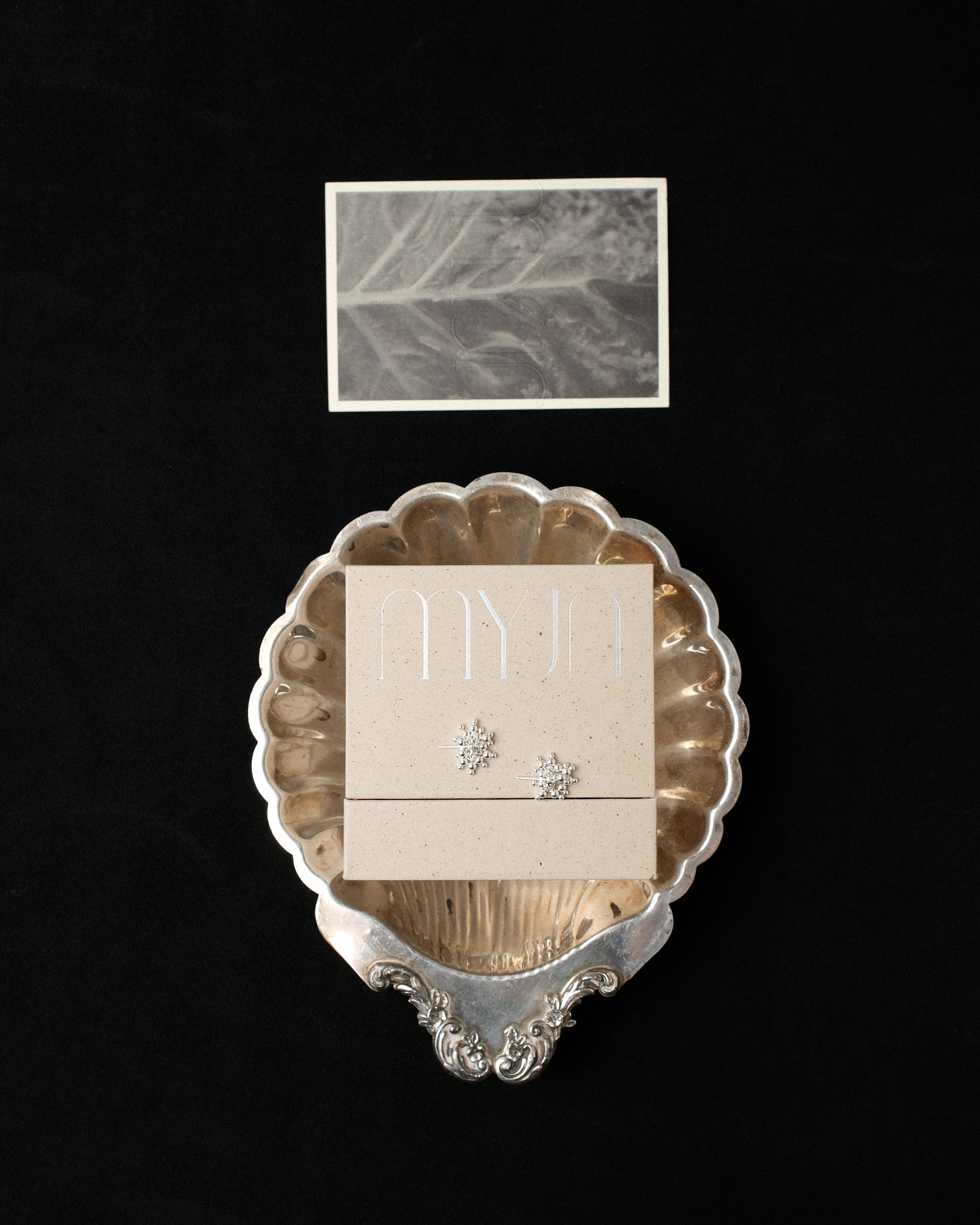 Complimentary: The Cacao Edition Box