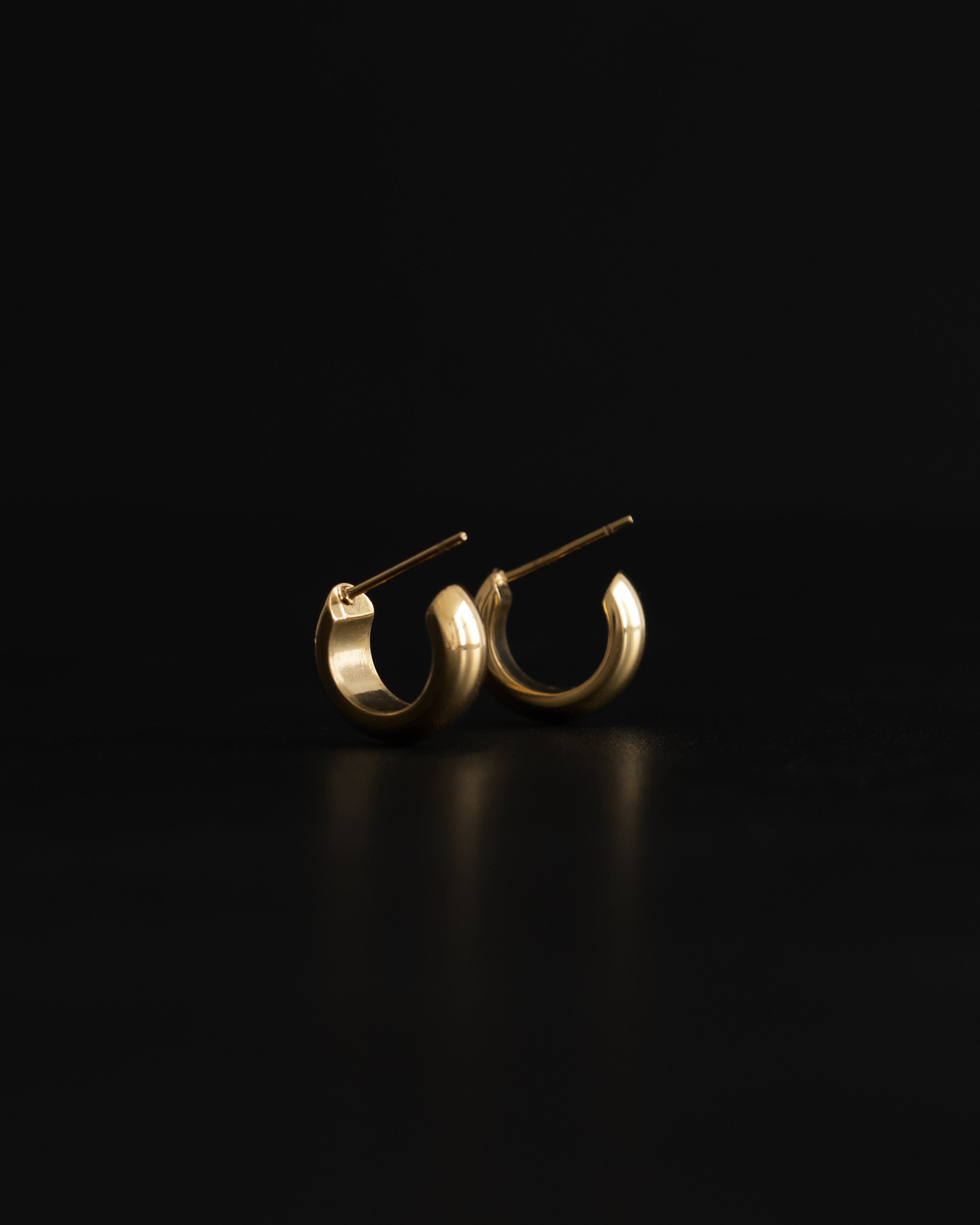 Rizzo C Hoop Stud Earrings