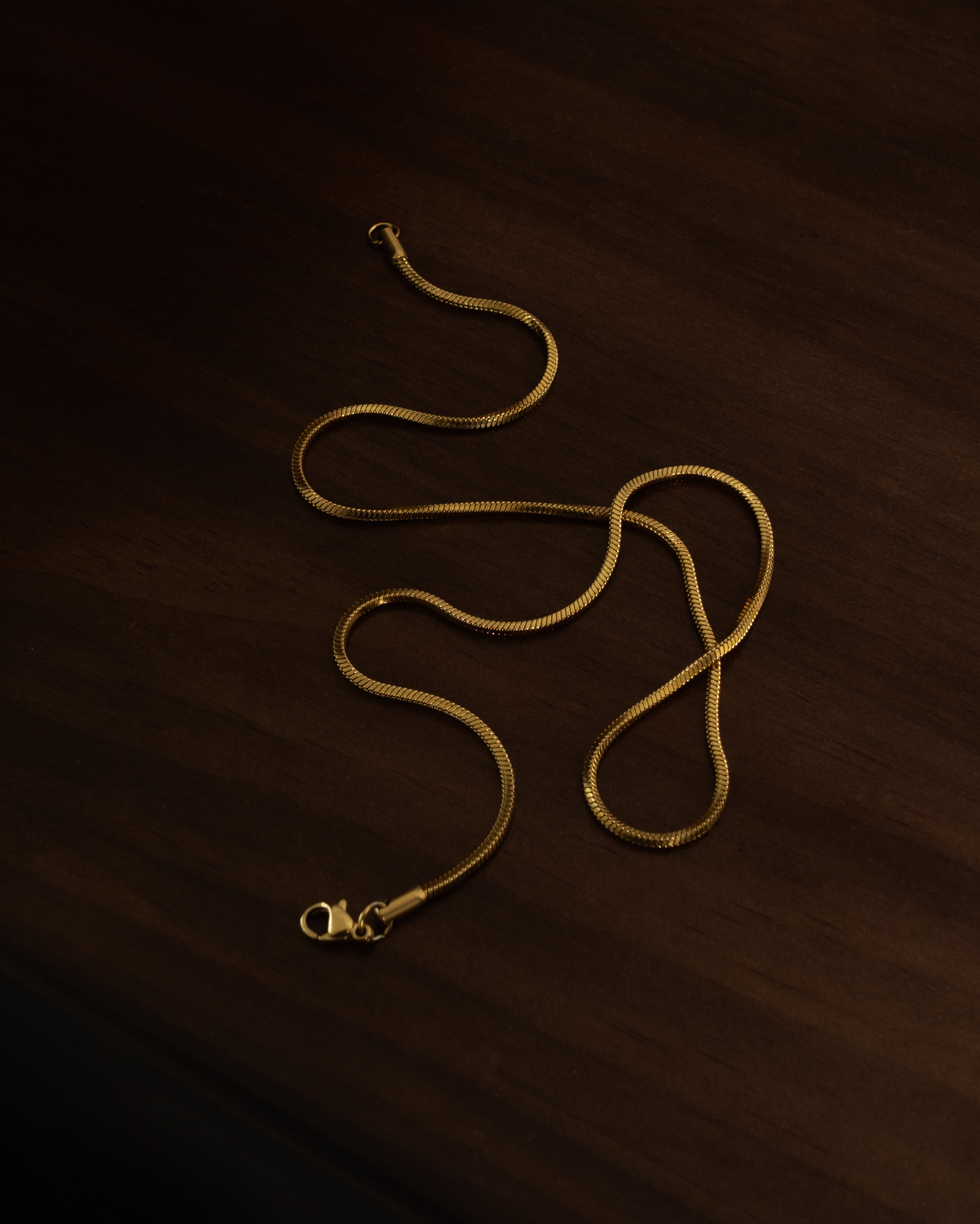 Maelie Square Snake Chain Herringbone Necklace