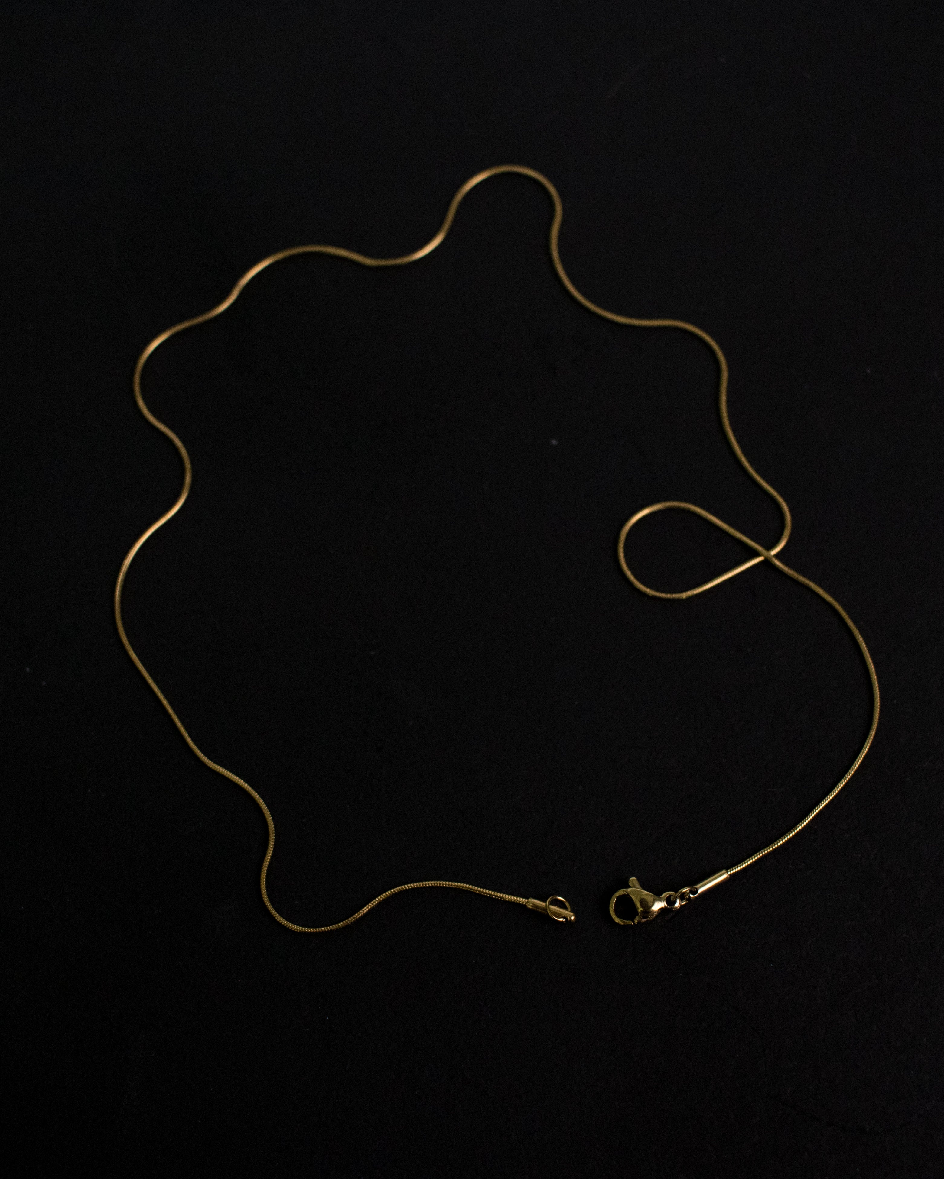 Aila Snake Chain Choker Necklace