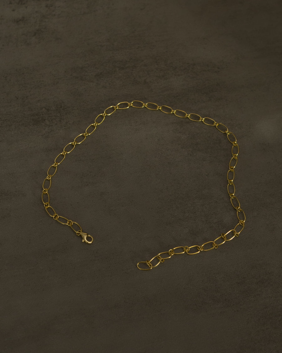 Havyna Chain Link Choker Necklace